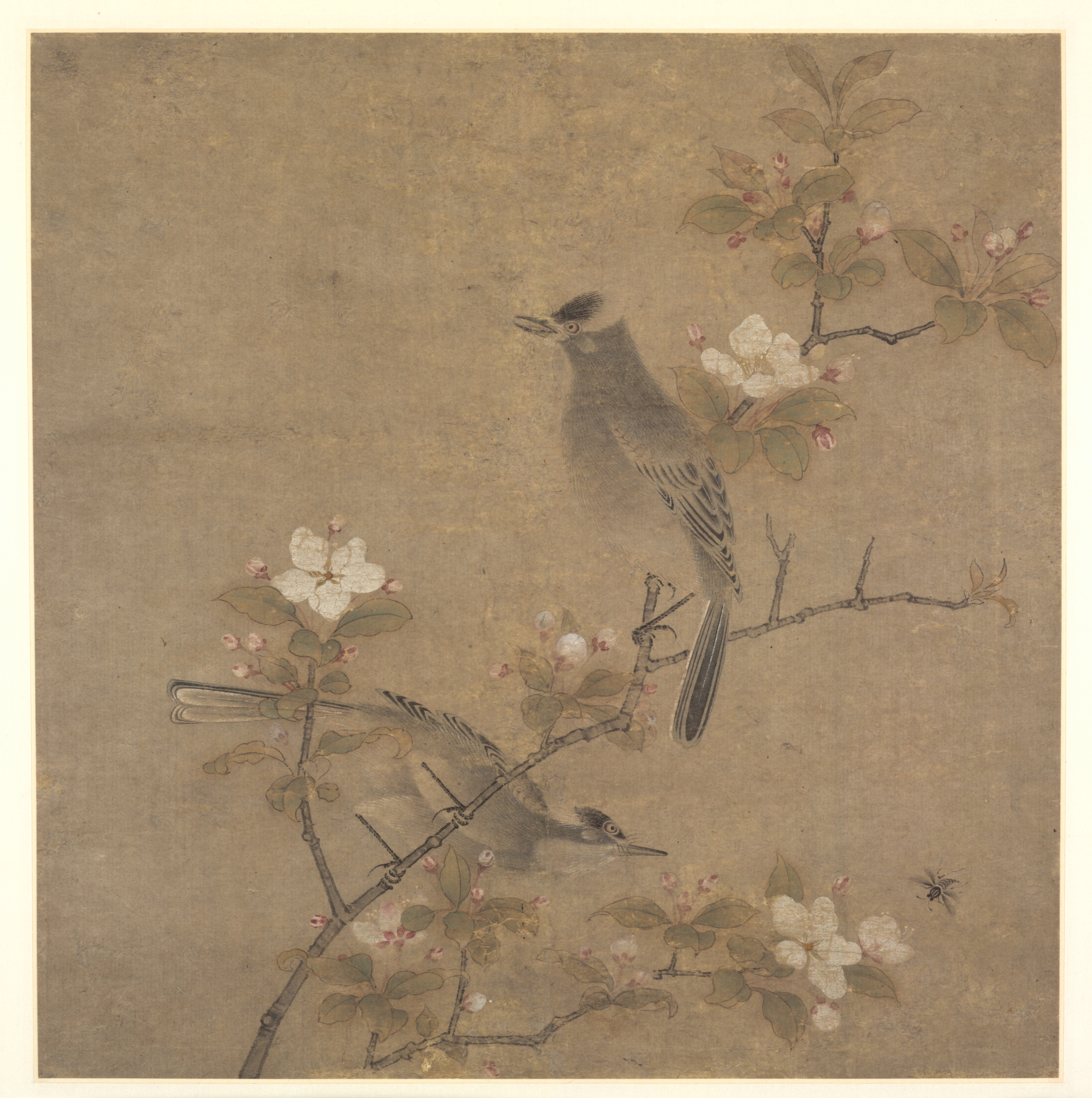 花鳥