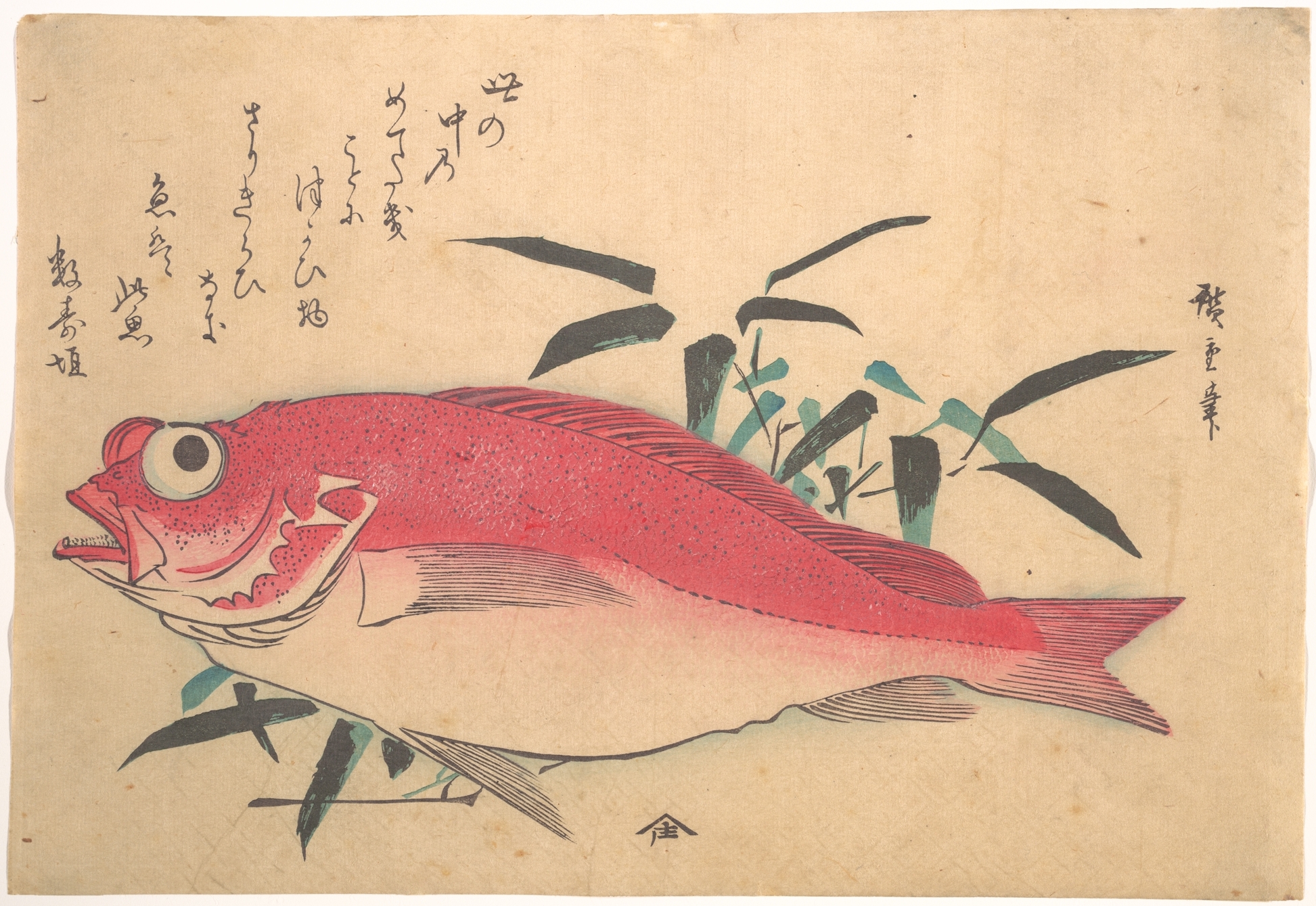 魚づくし