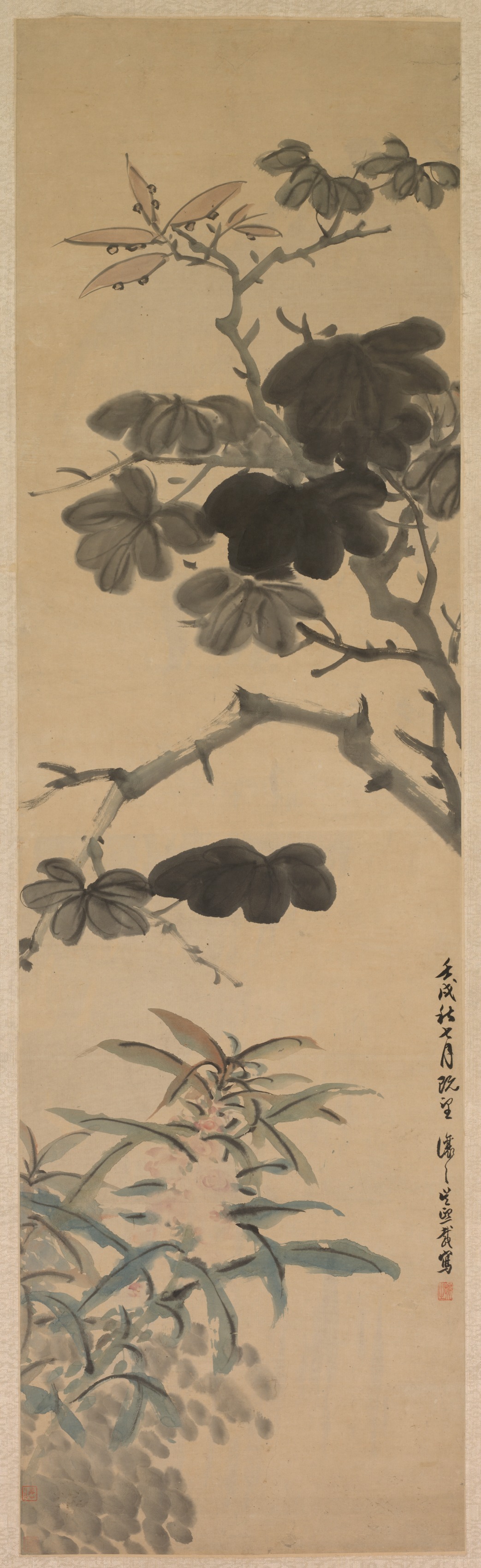 花咲く植物