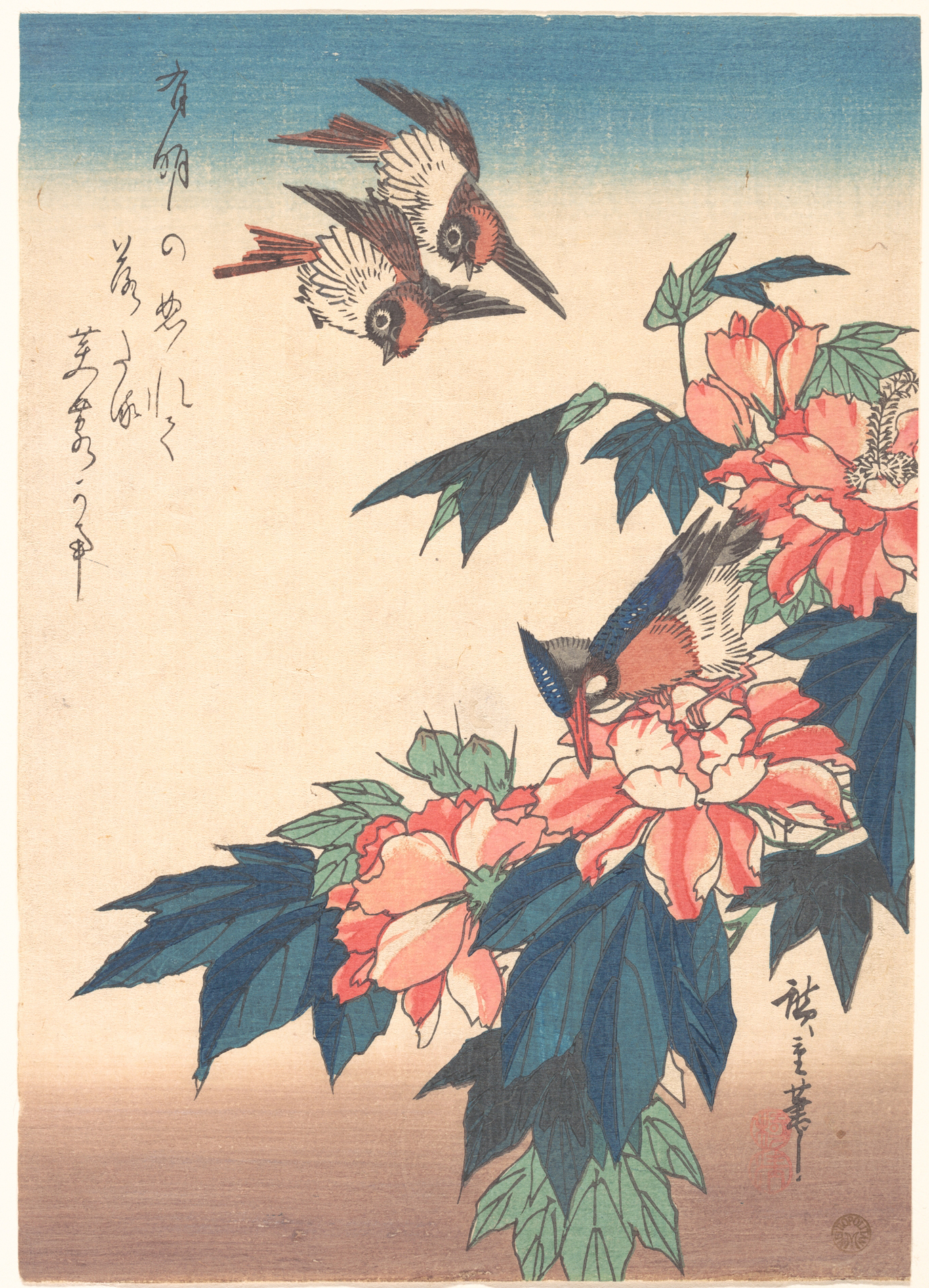紅蜀葵に燕と川蝉図