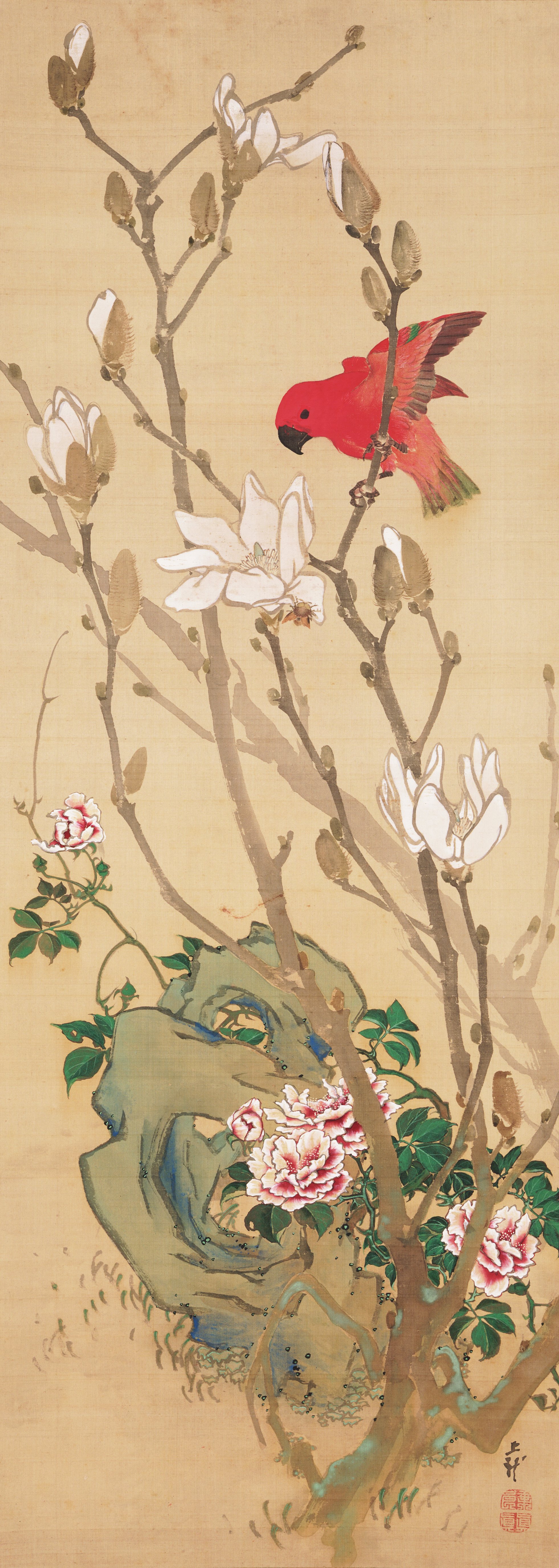 赤い鸚哥