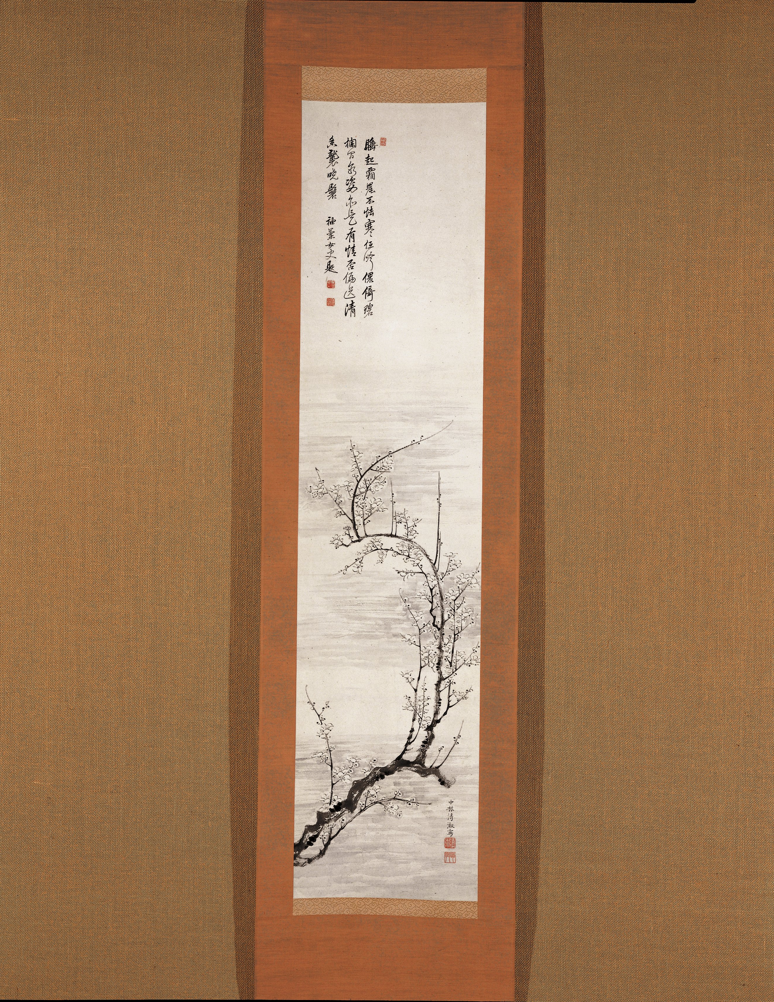 梅樹