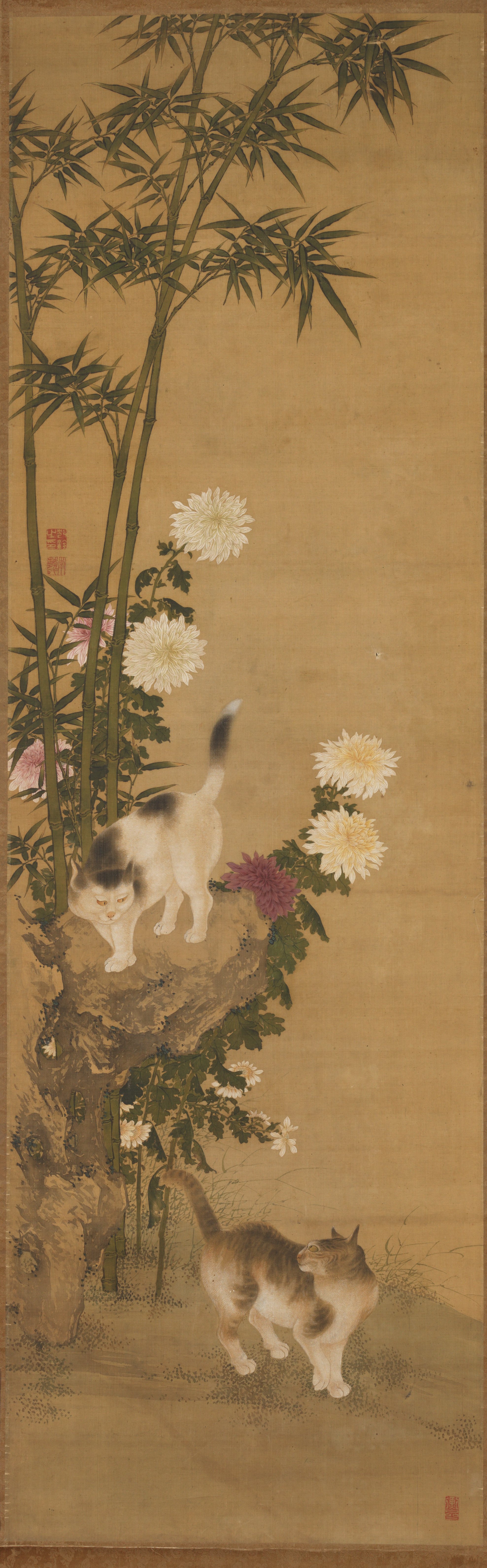 竹と菊のそばの猫