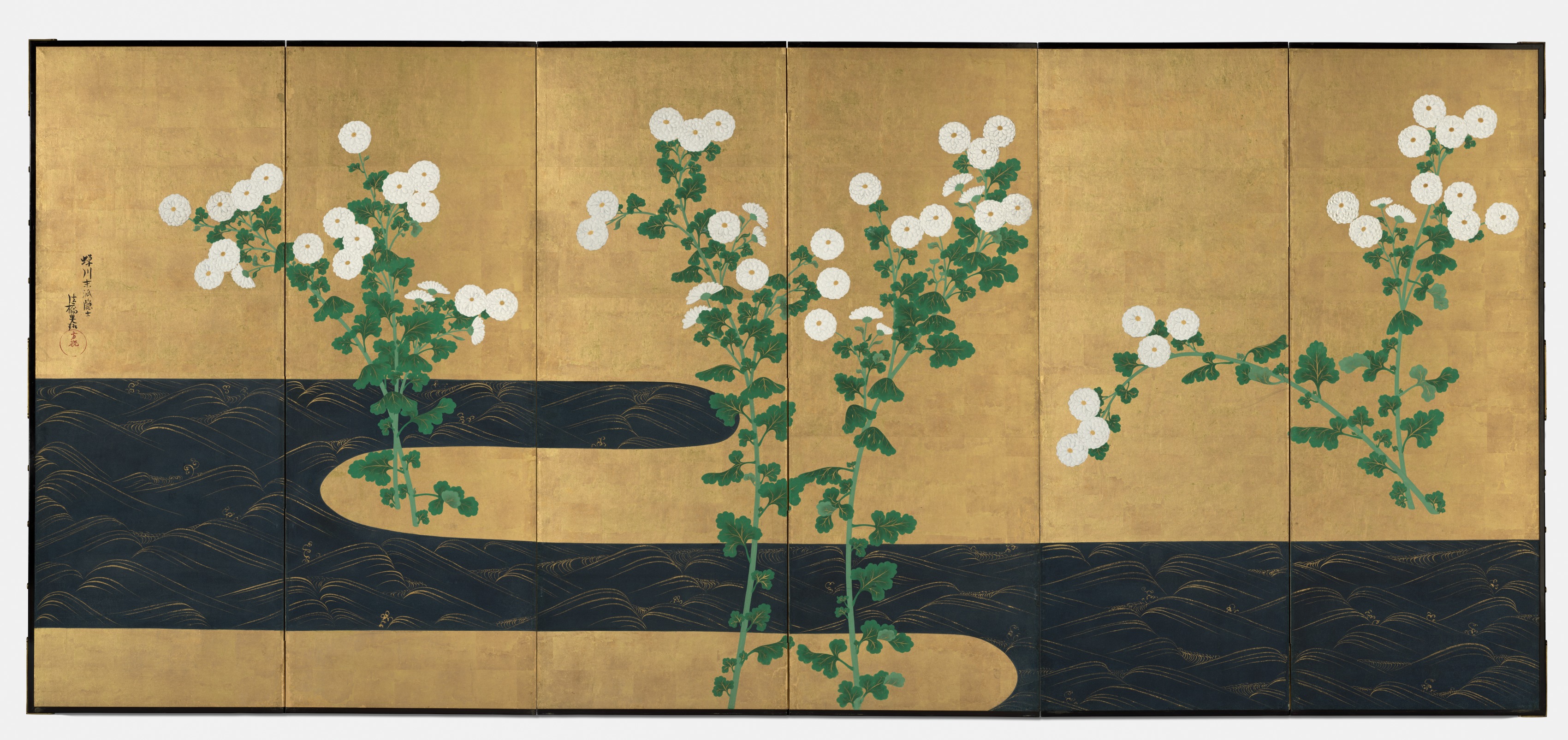 小川のほとりの菊