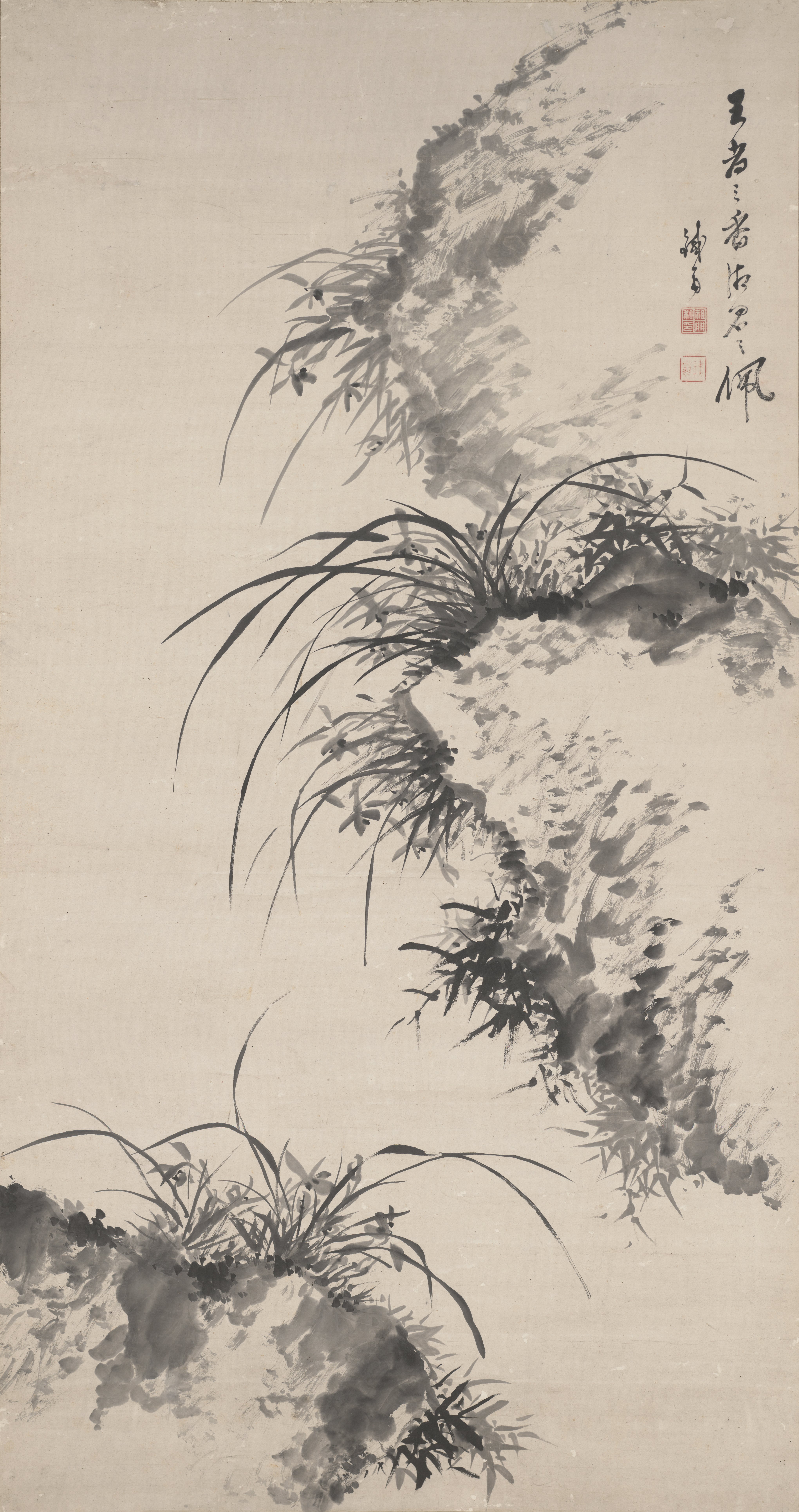 蘭と岩