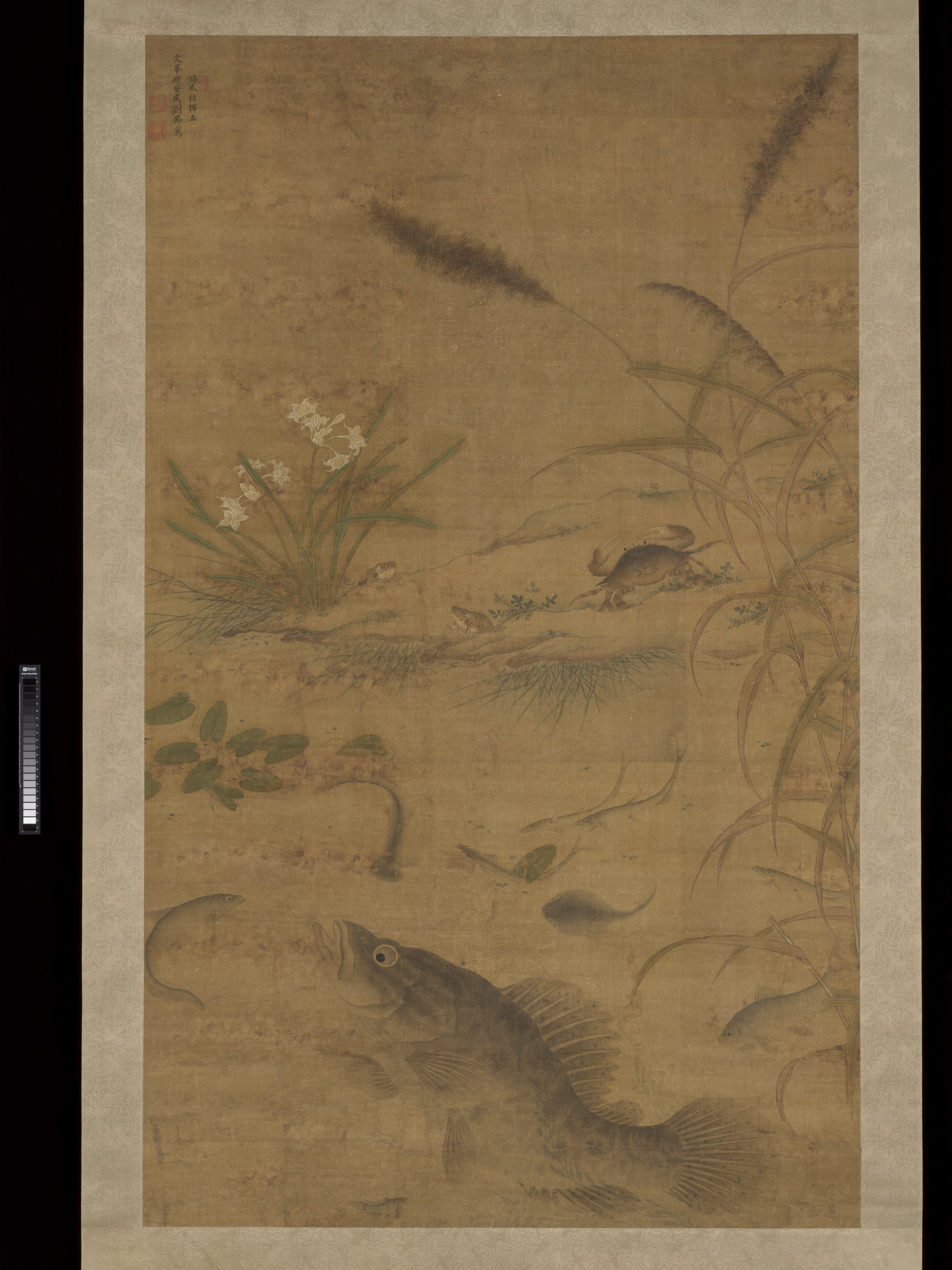みかんとカニの絵|花と魚とカニ
