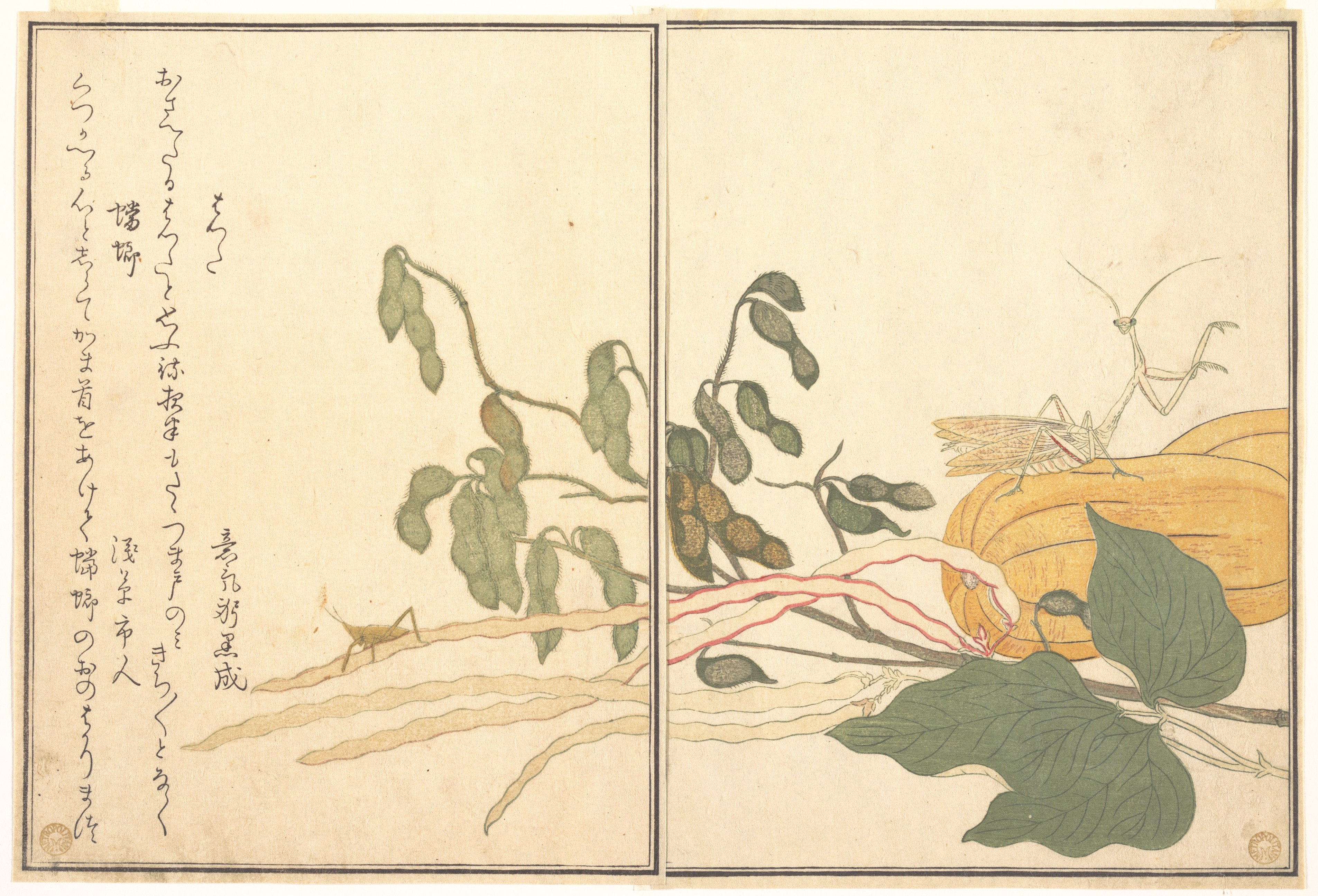 画本虫撰　バッタと蟷螂