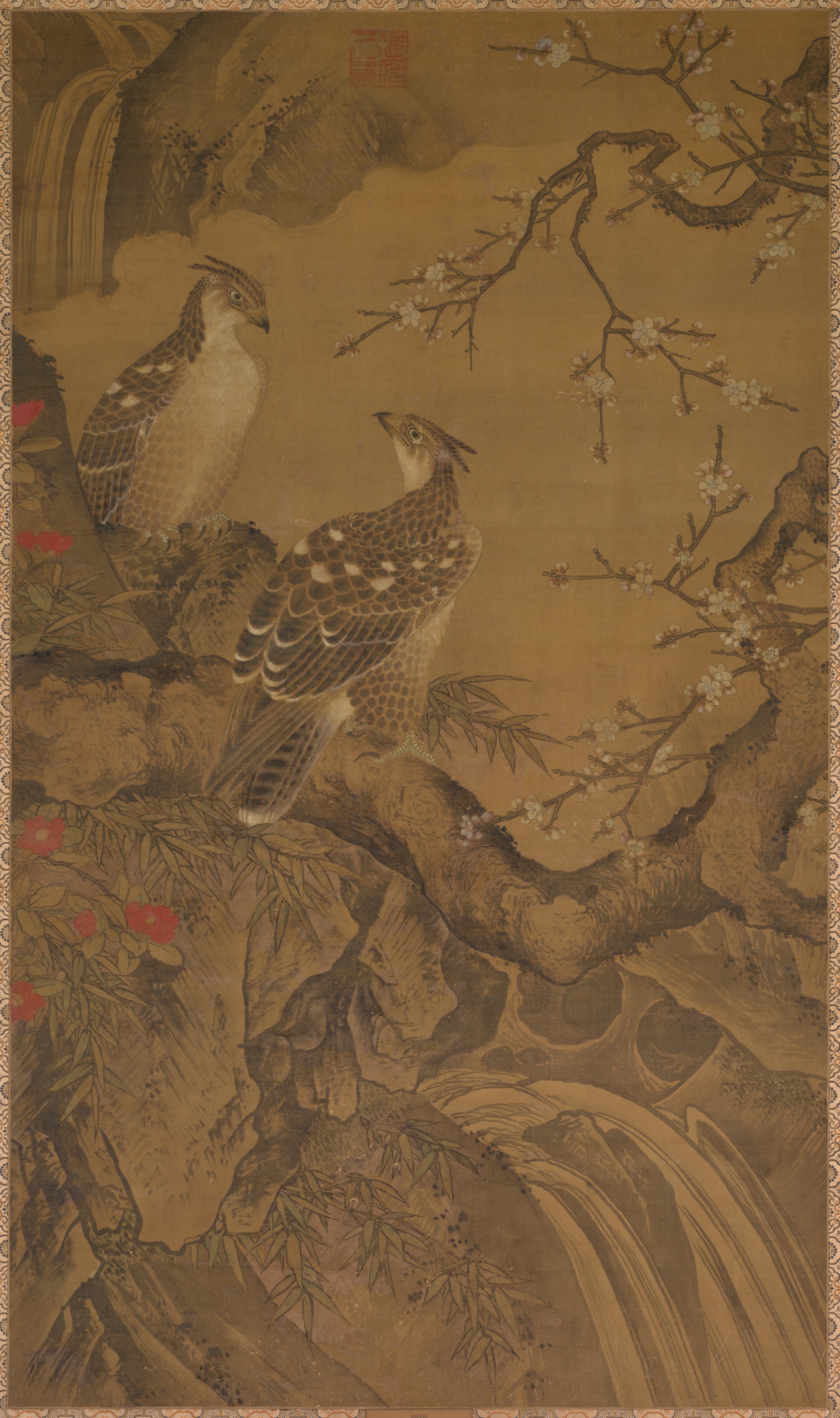 鷲