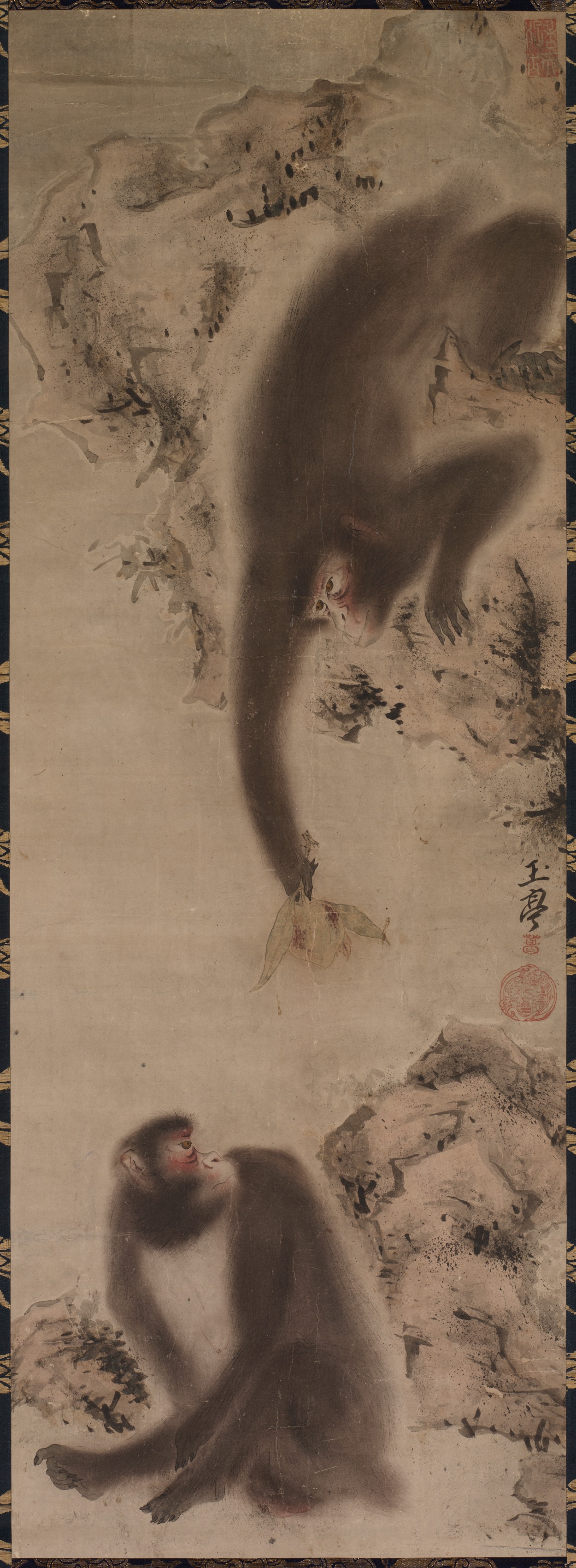 猿