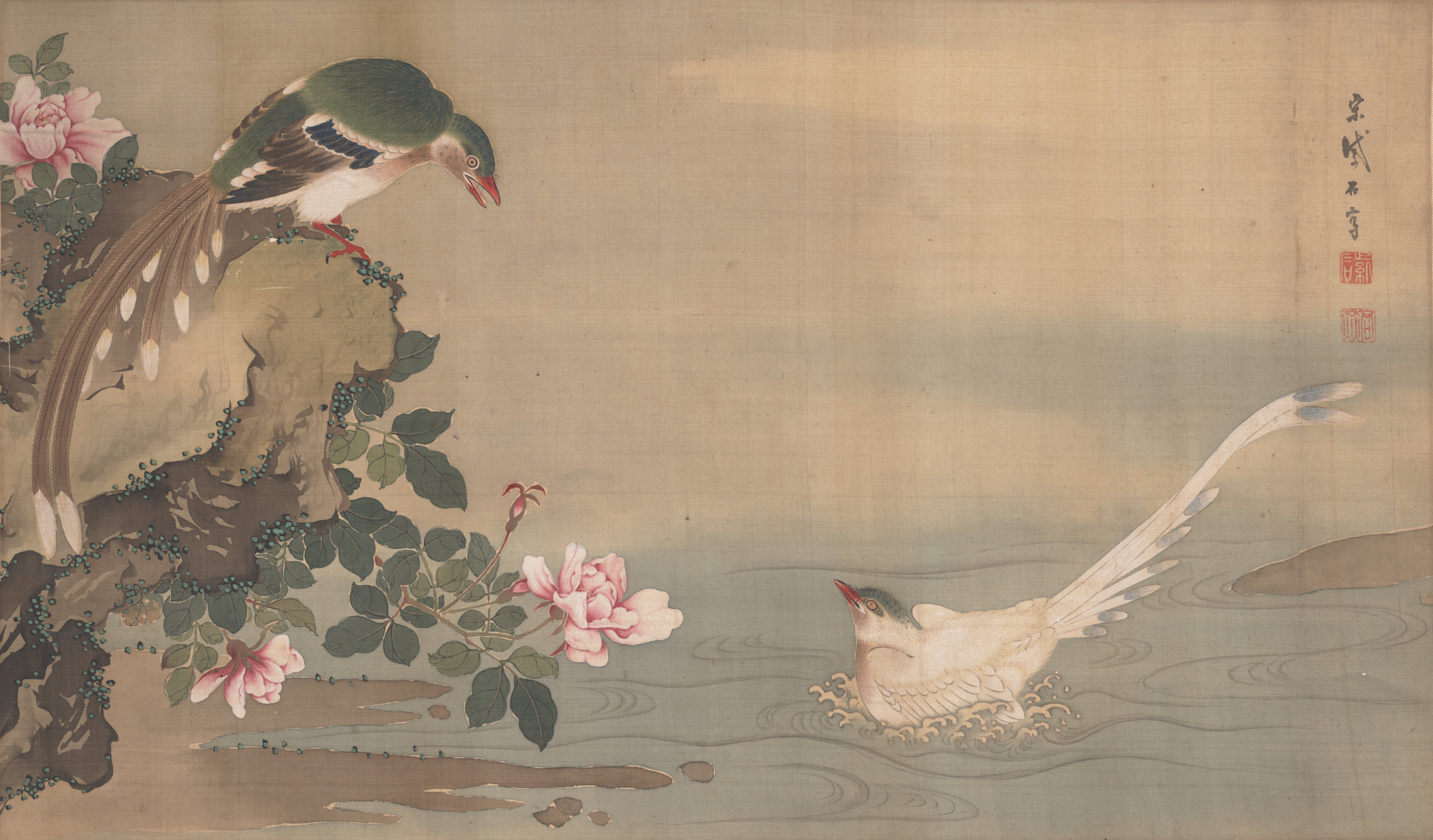 尾長鳥と薔薇