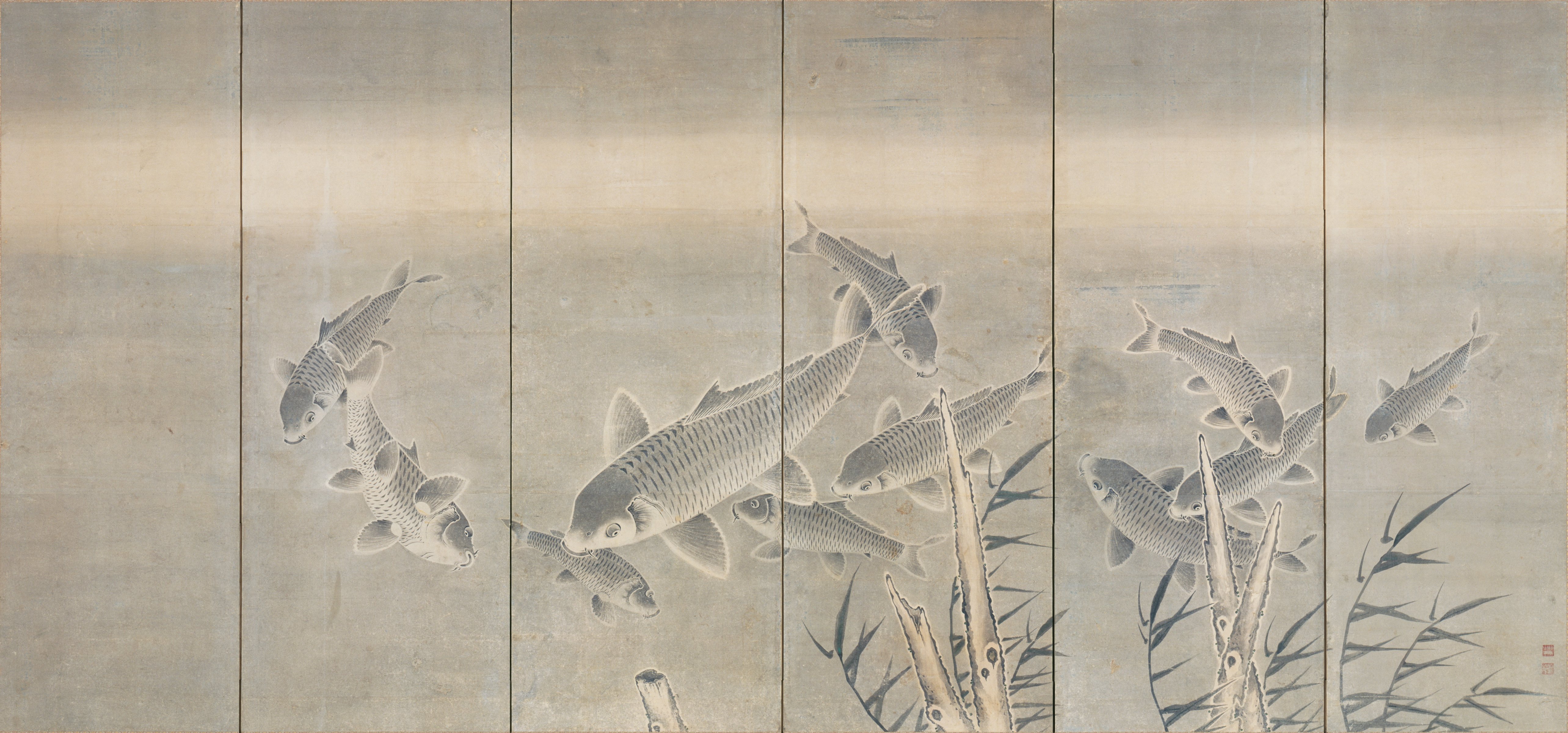 鯉