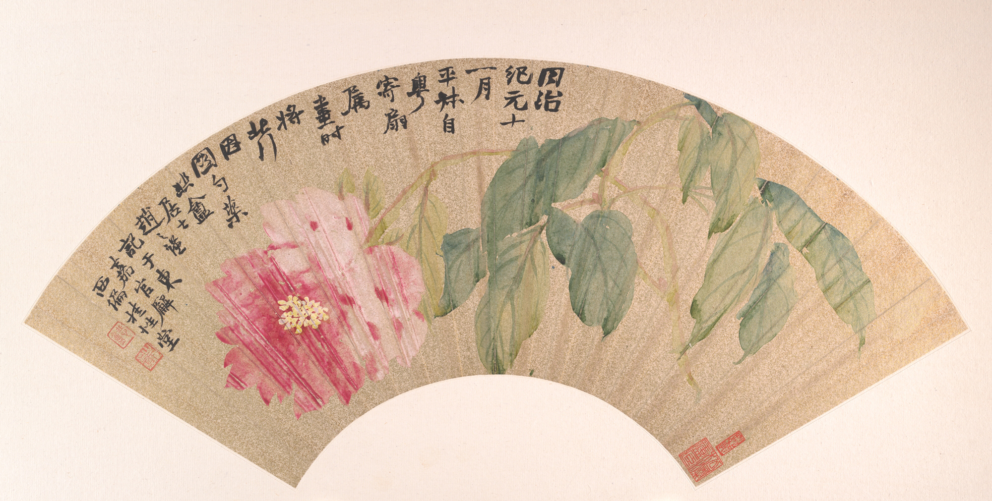 清朝の趙志謙の牡丹扇 |牡丹
