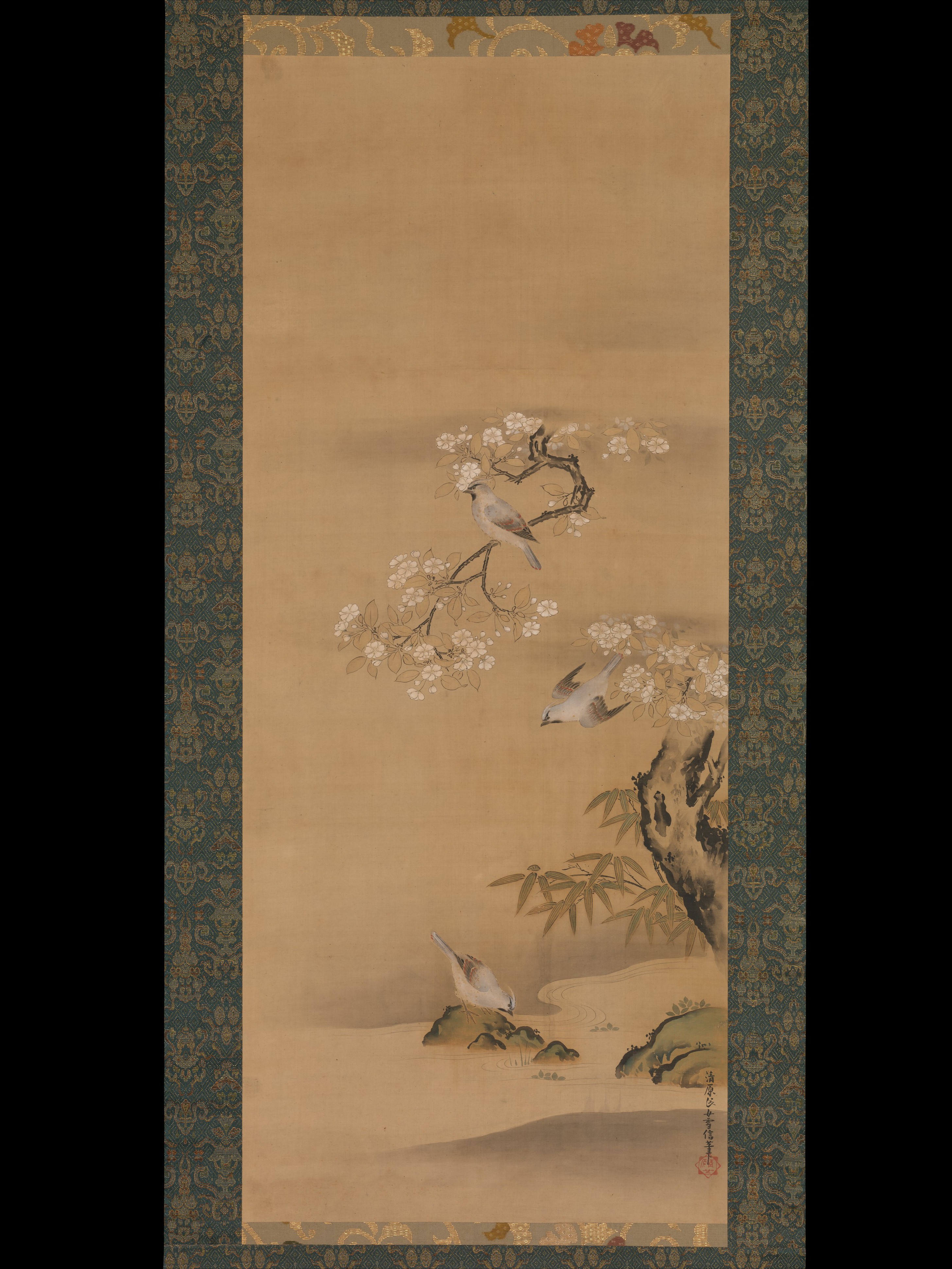 ワックスウィング、桜、竹