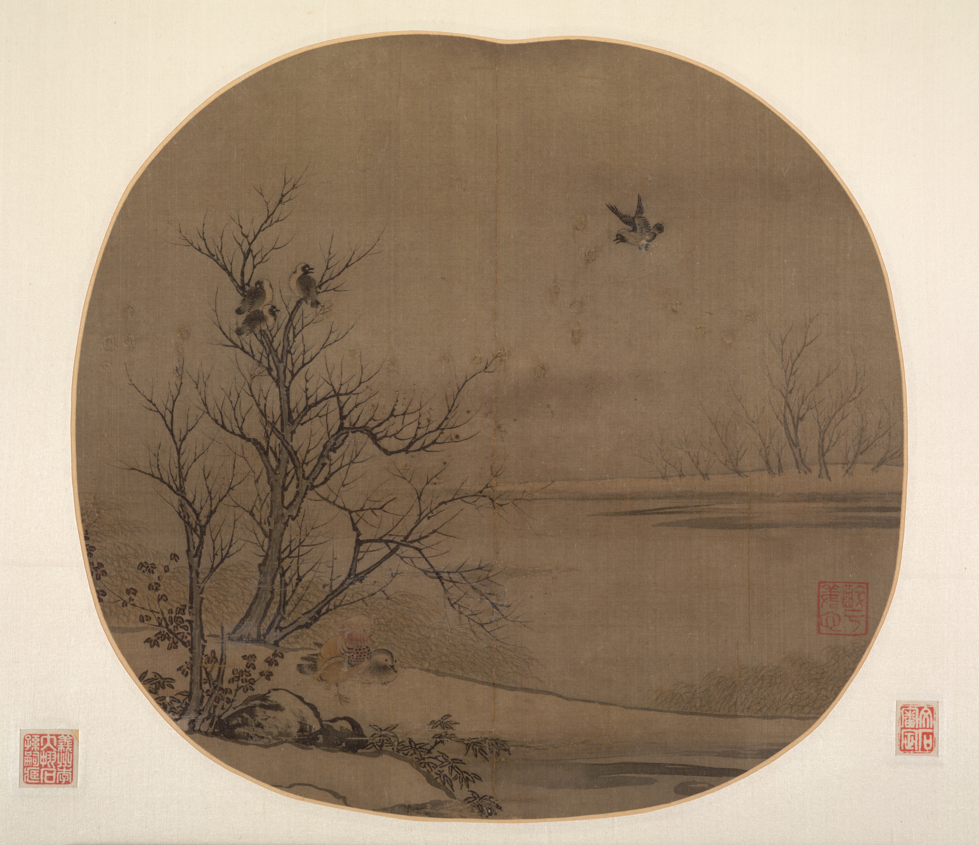 雪の中洲の鳥と鴨