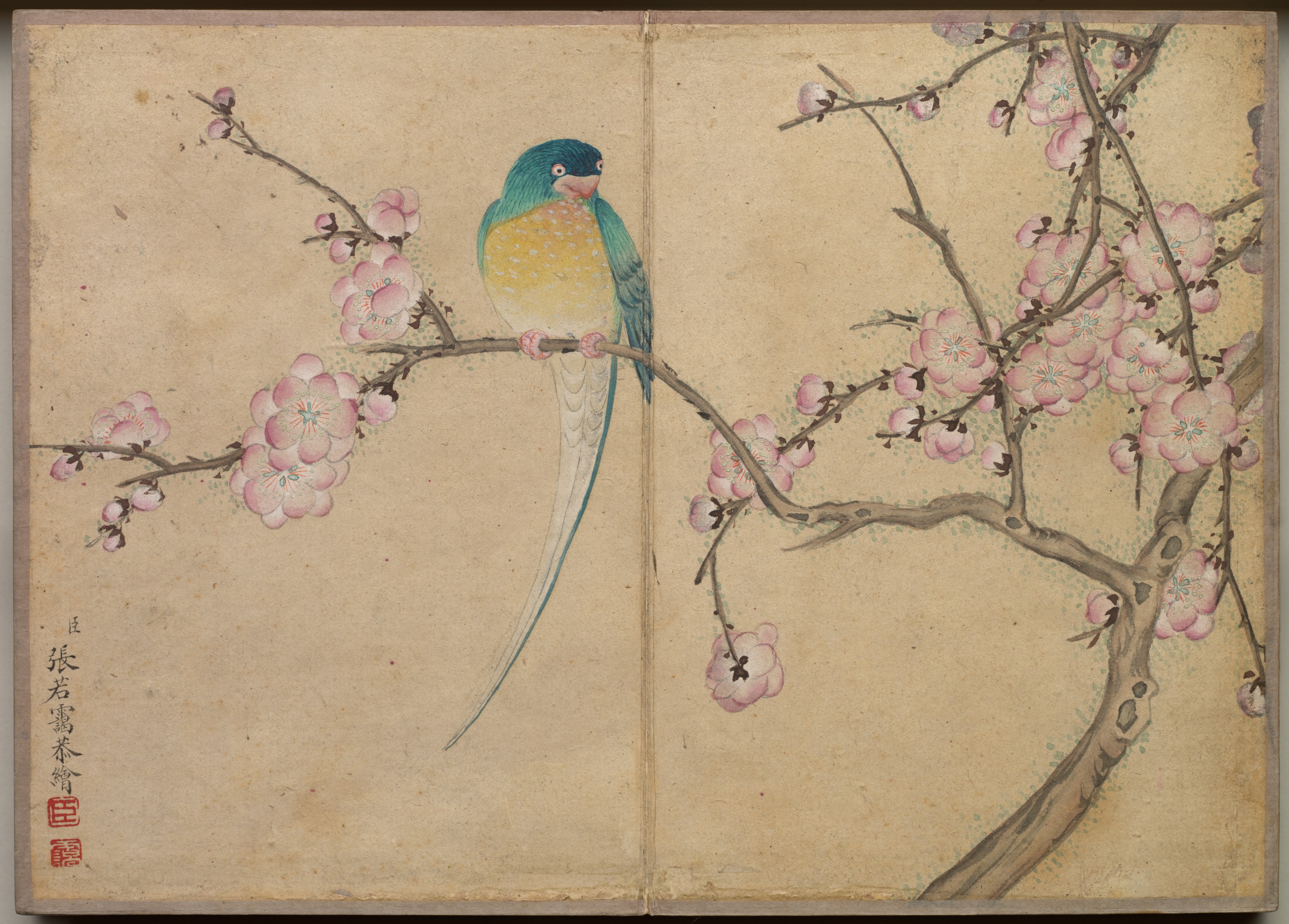 机上画帖：花鳥画（梅に鳥）