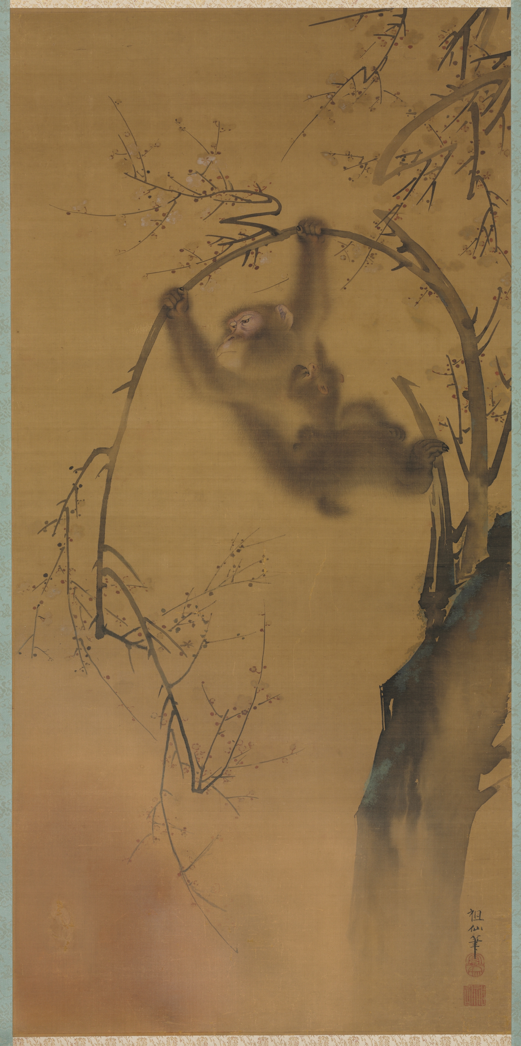桜の木の猿