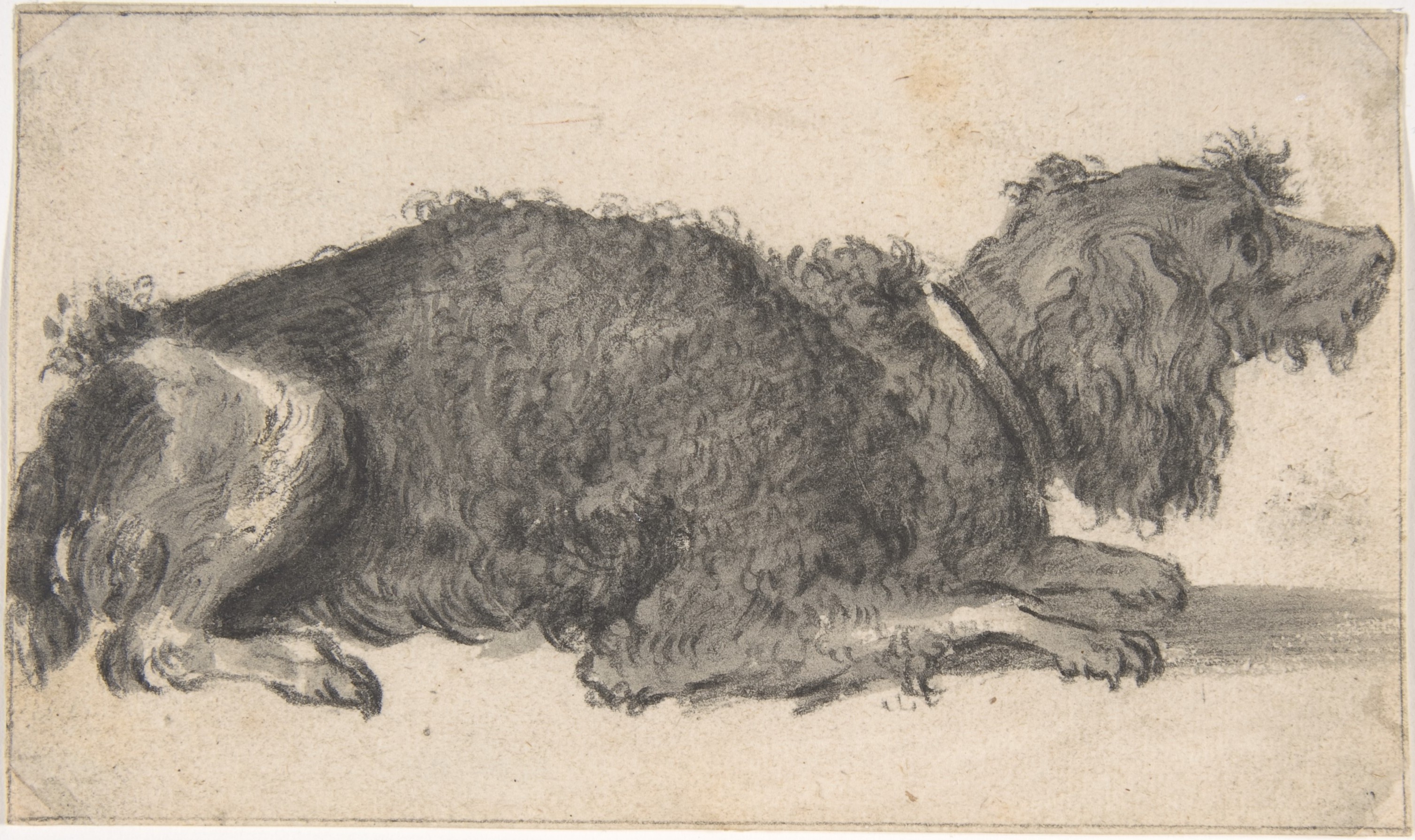犬