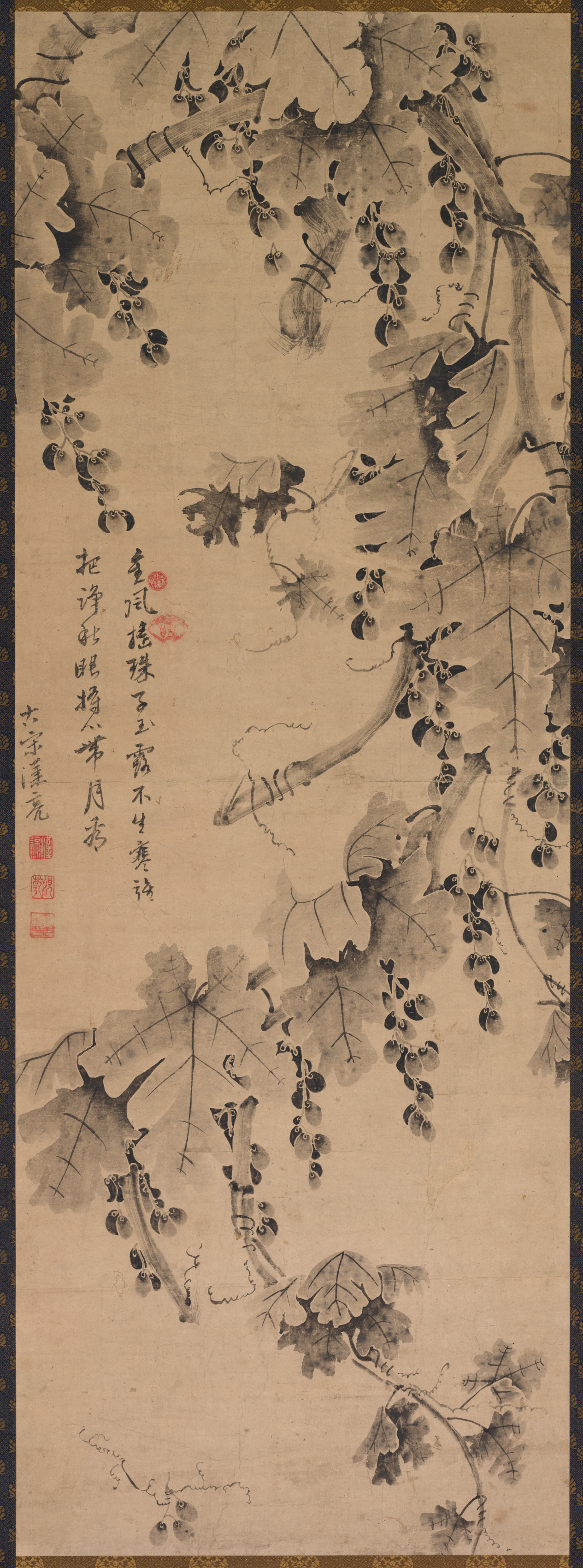 葡萄の蔓