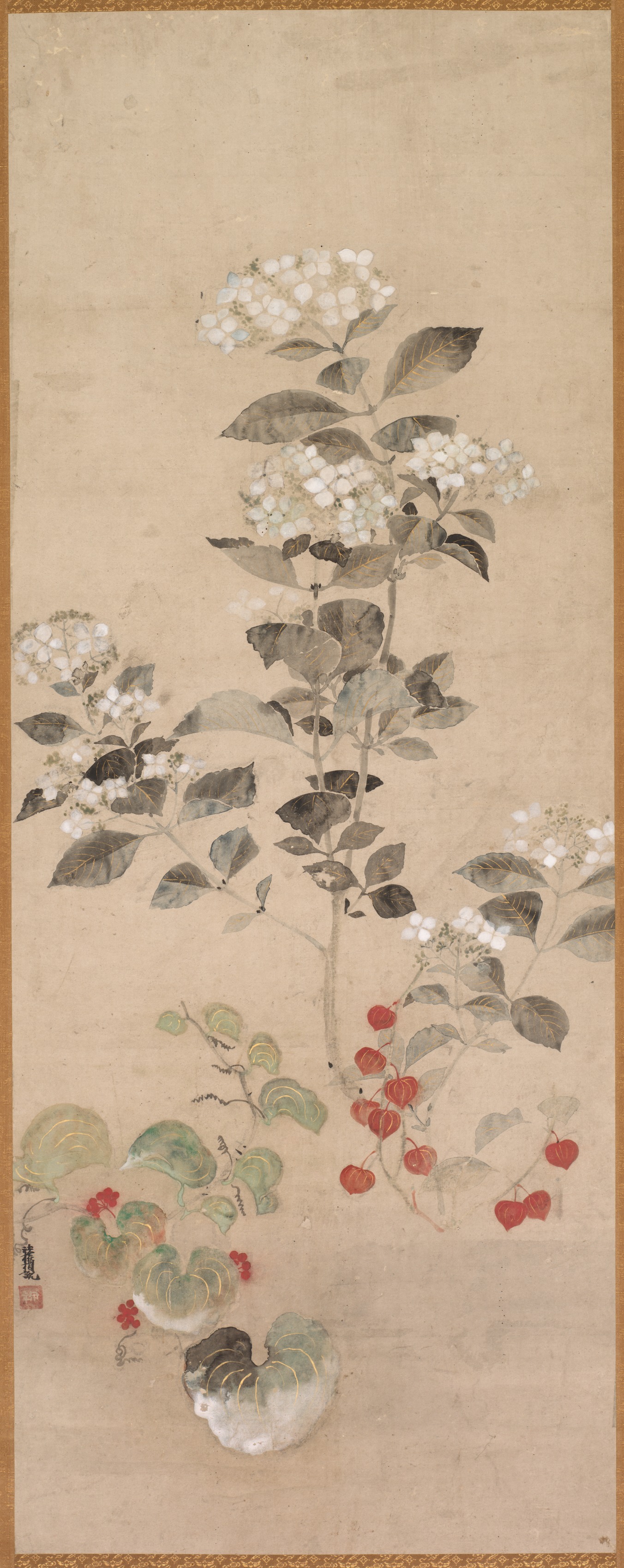 夏の花々
