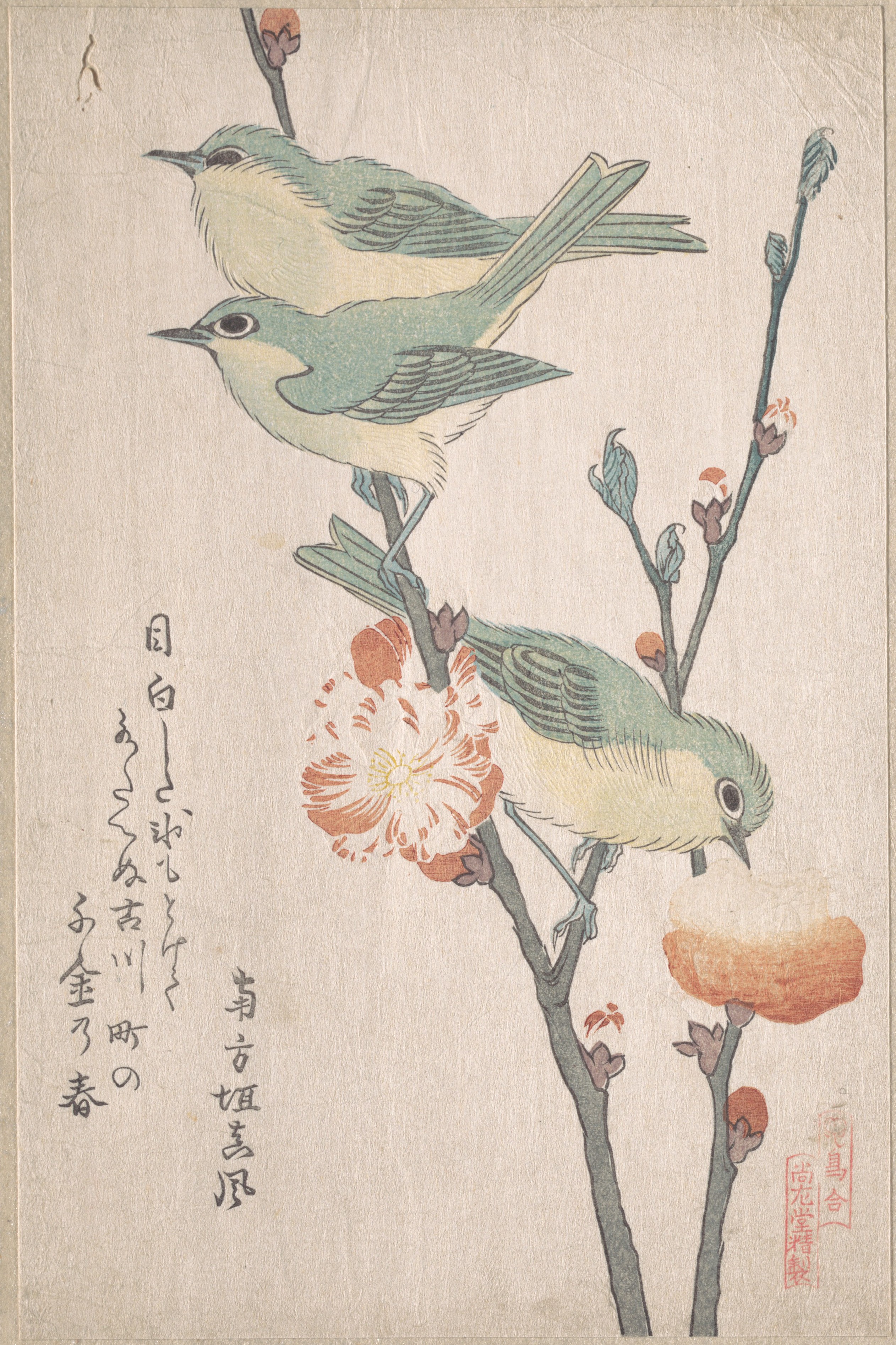 『鳥合』　桃花に目白