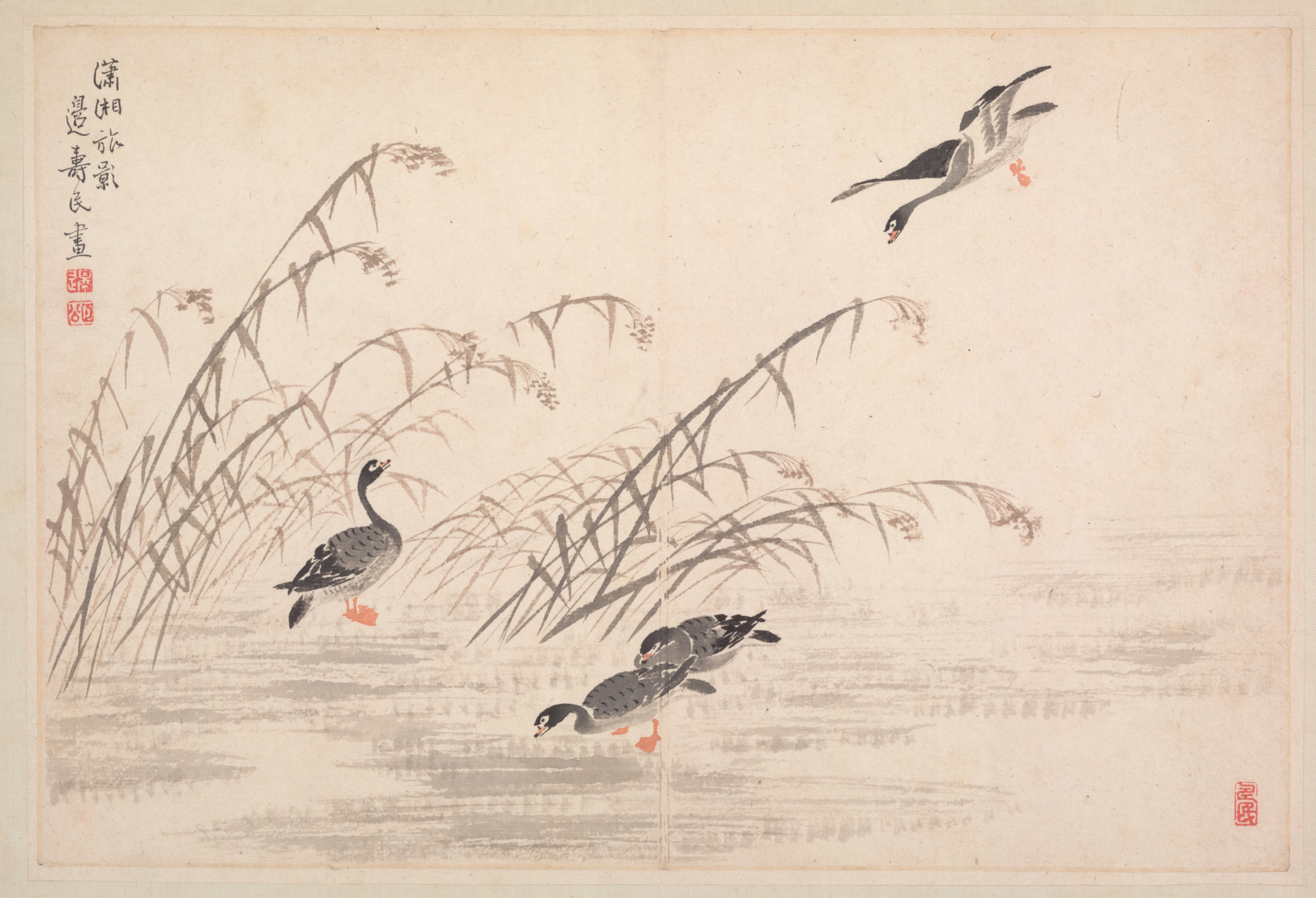書画帖