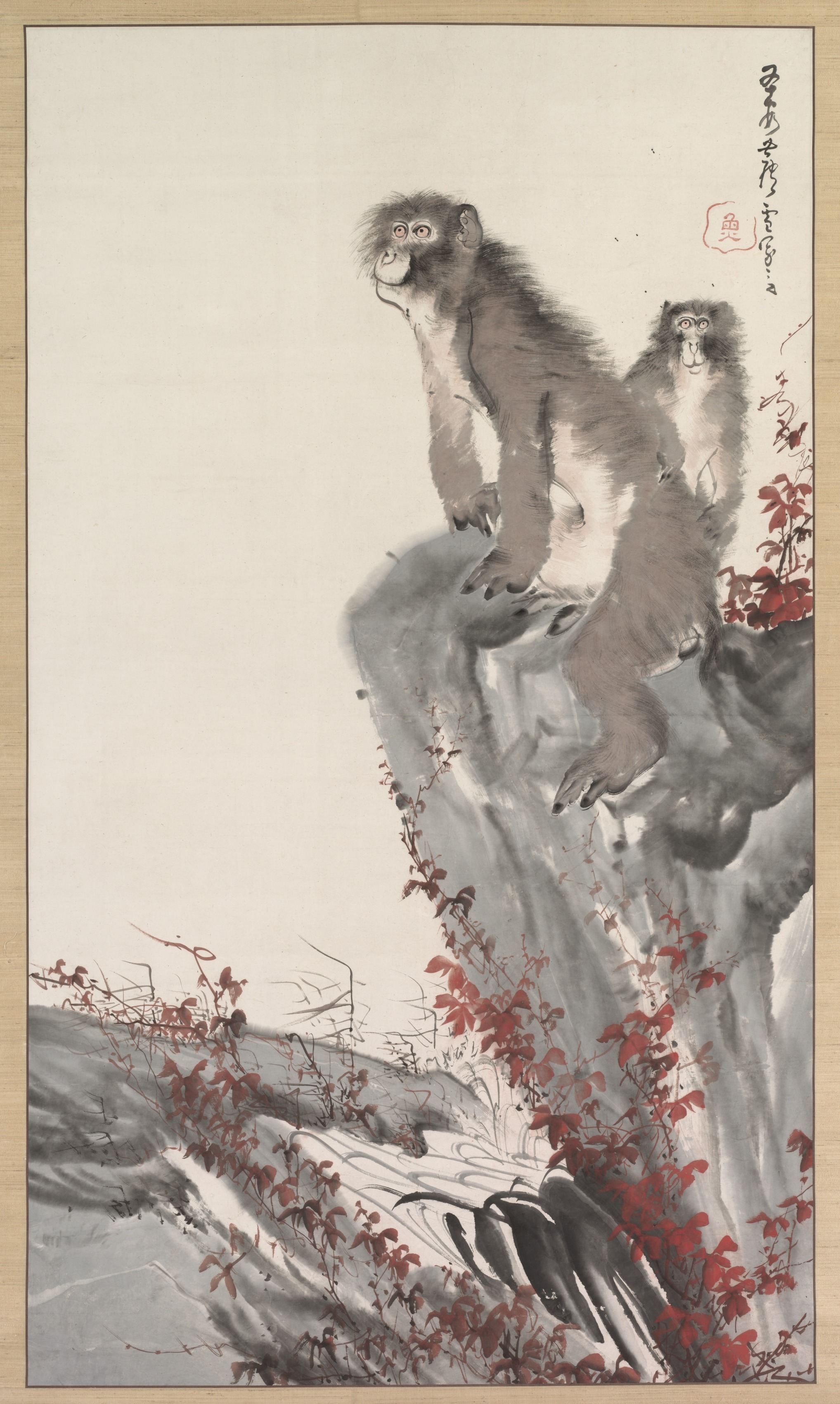 渓流のそばの猿