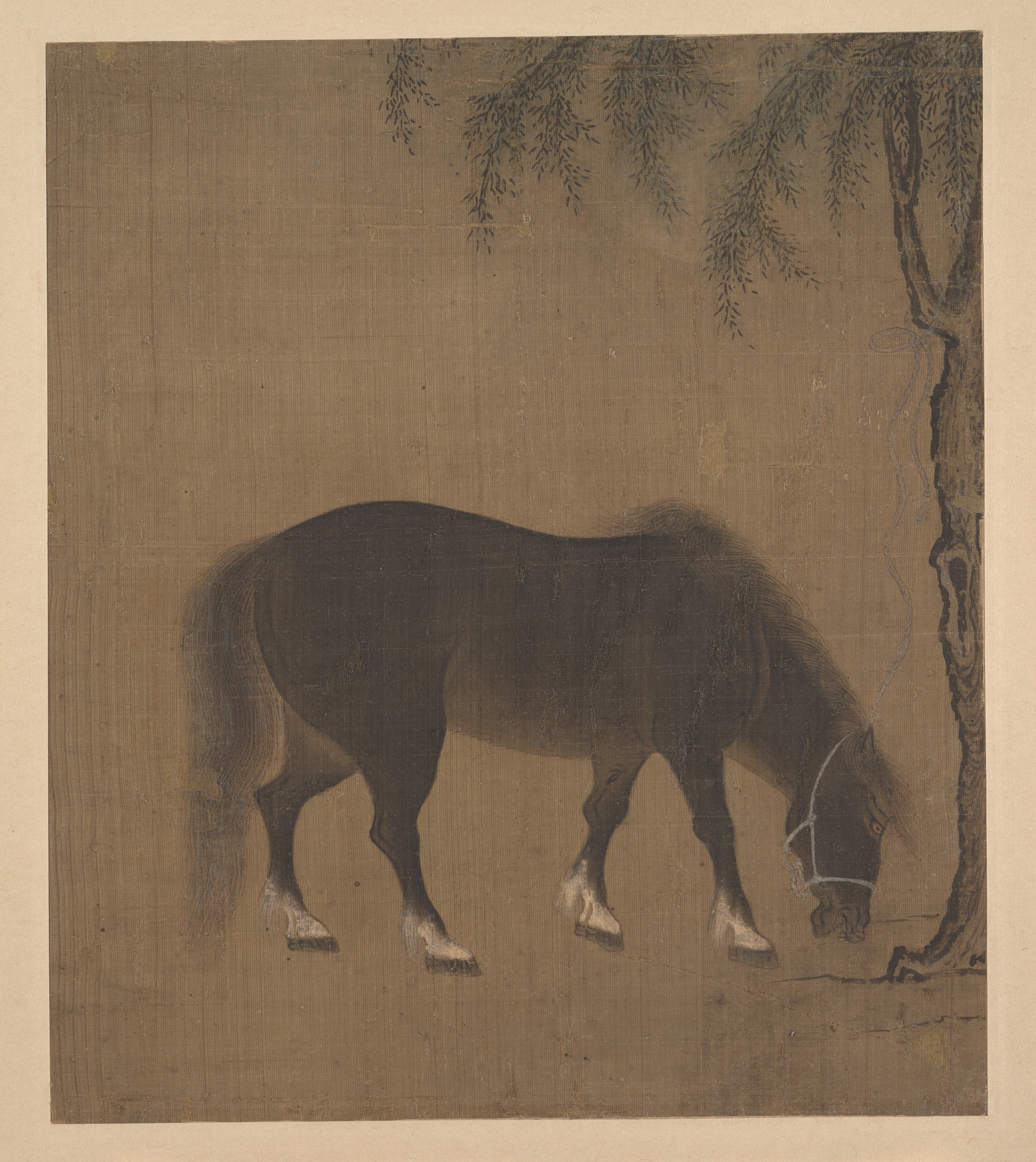 明朝匿名の柳馬アルバム |馬と柳の木