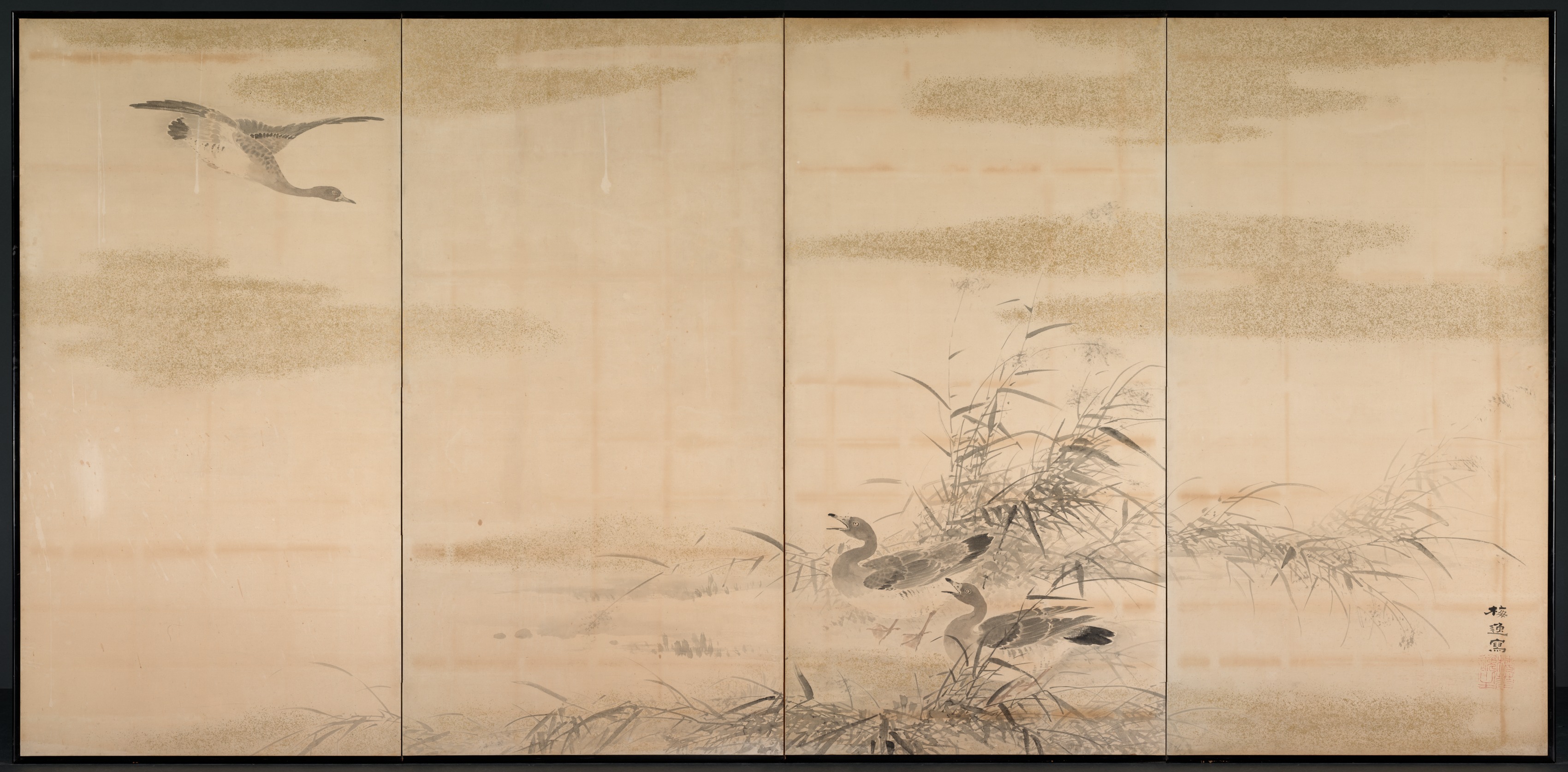 雁と蘆と水