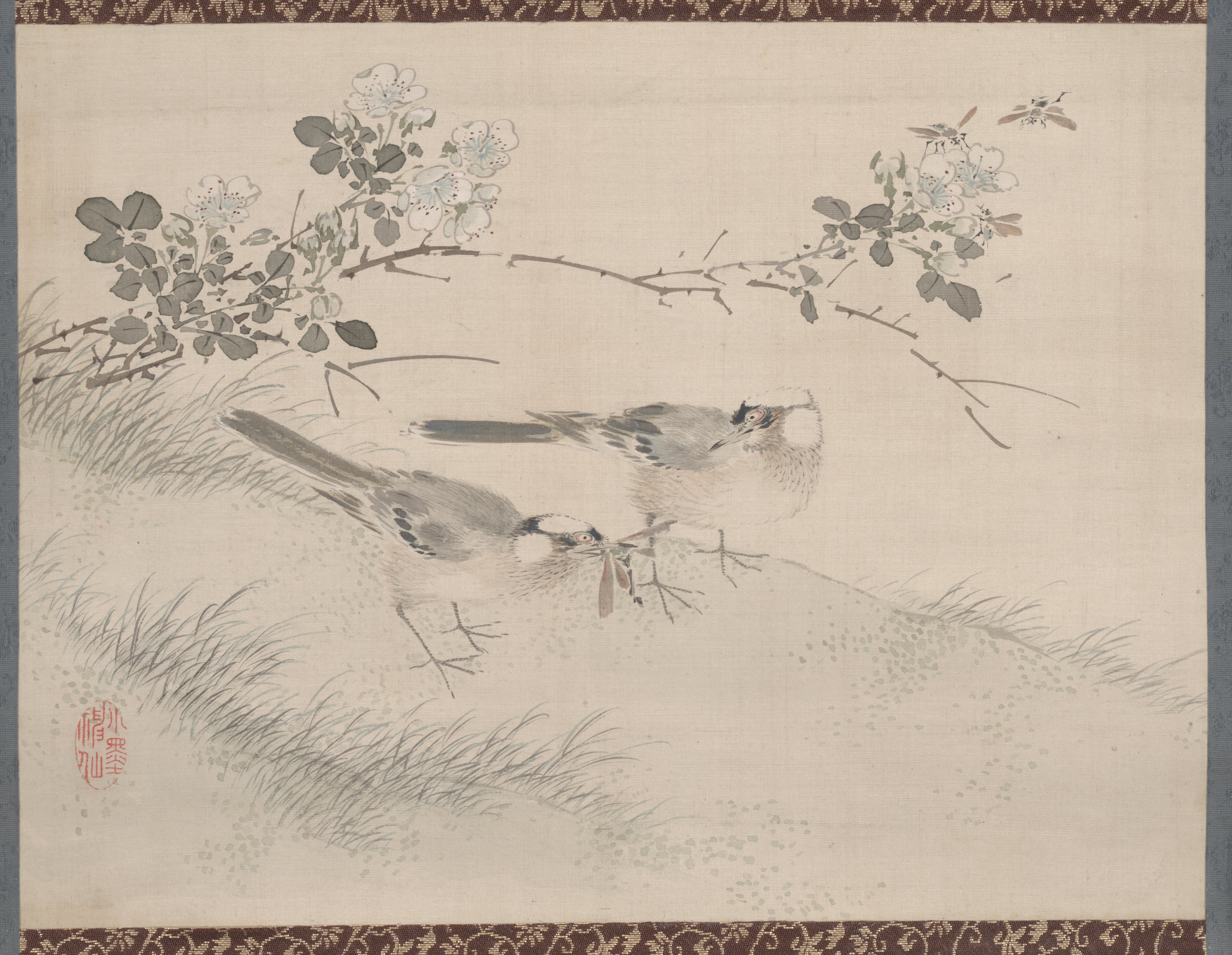草花・魚・鳥の写生（鳥と薔薇）