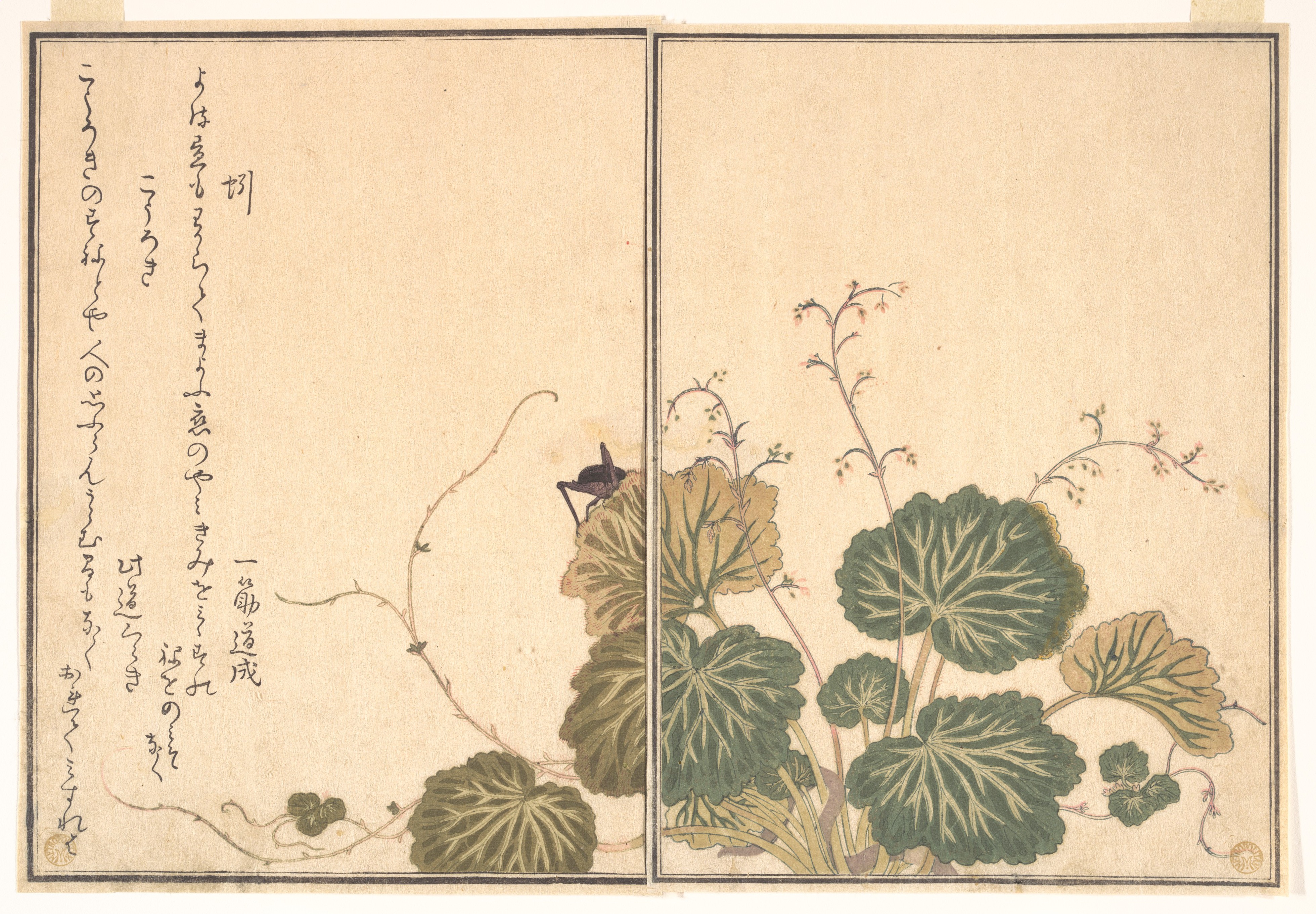 『画本虫撰』「蚓」「こうろき」