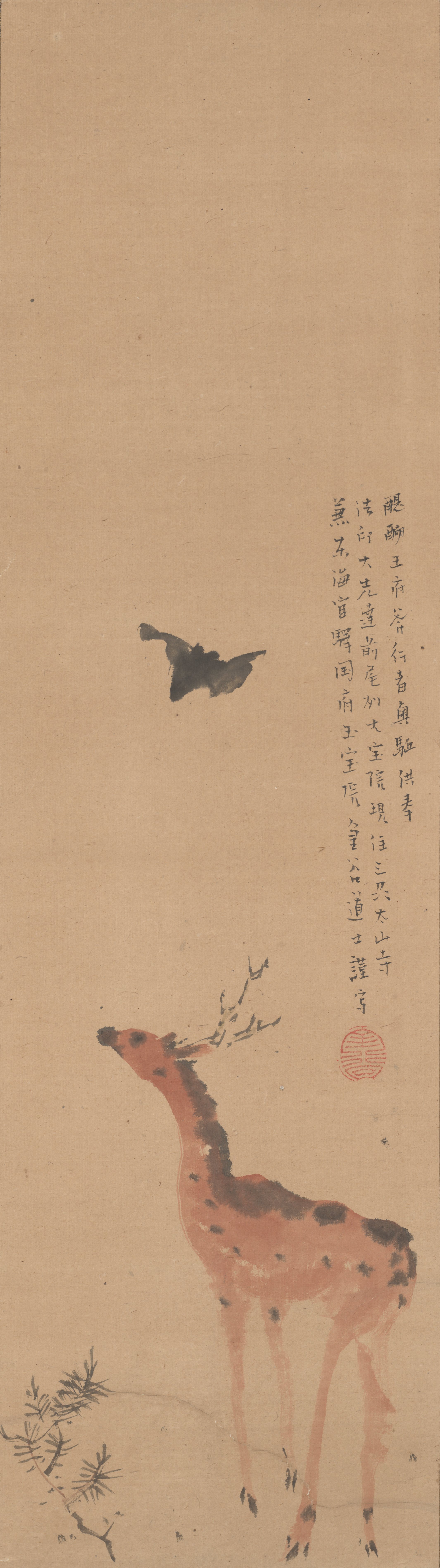 鹿と蝙蝠