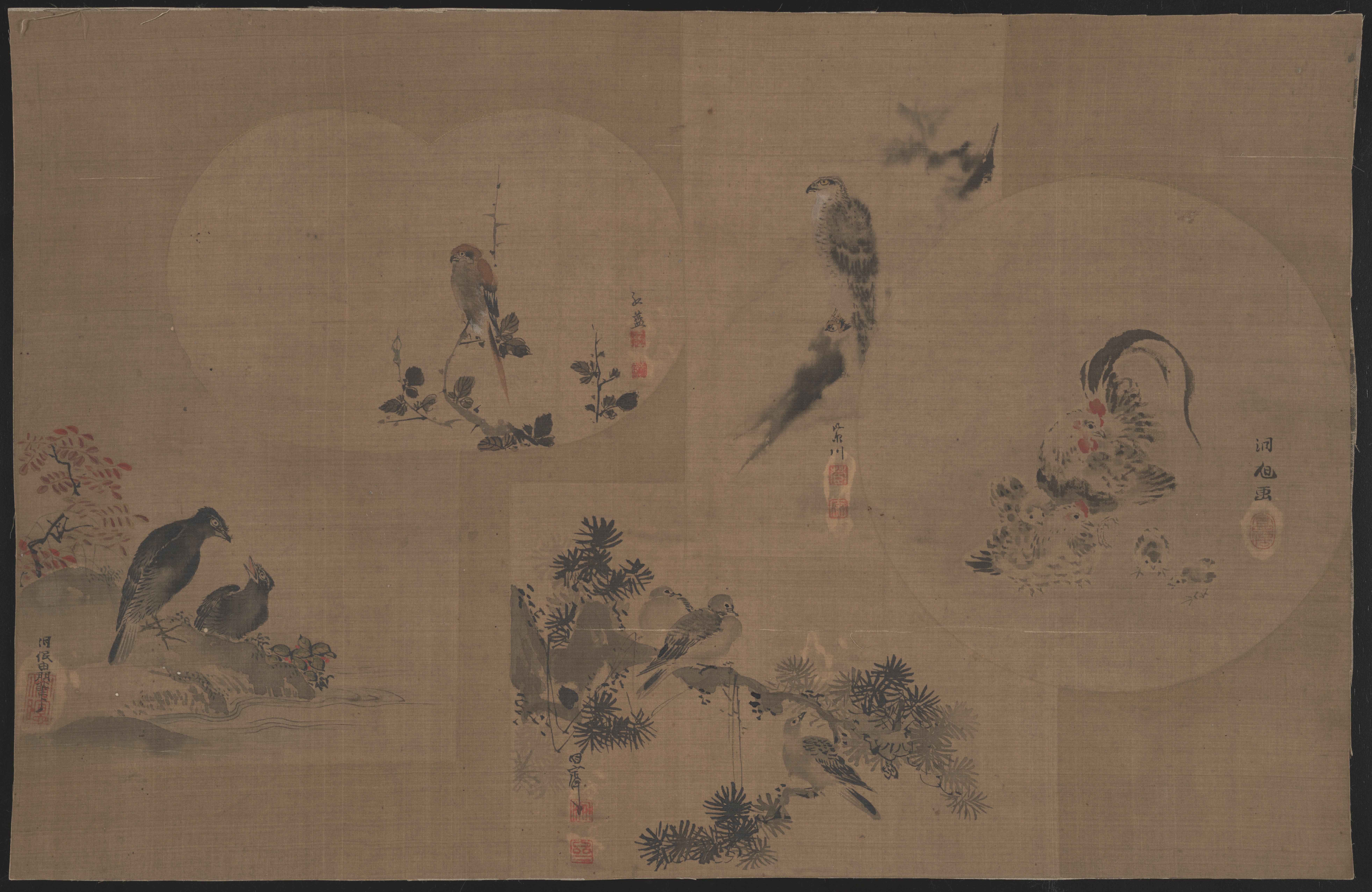鳥を描いた画帖の一葉