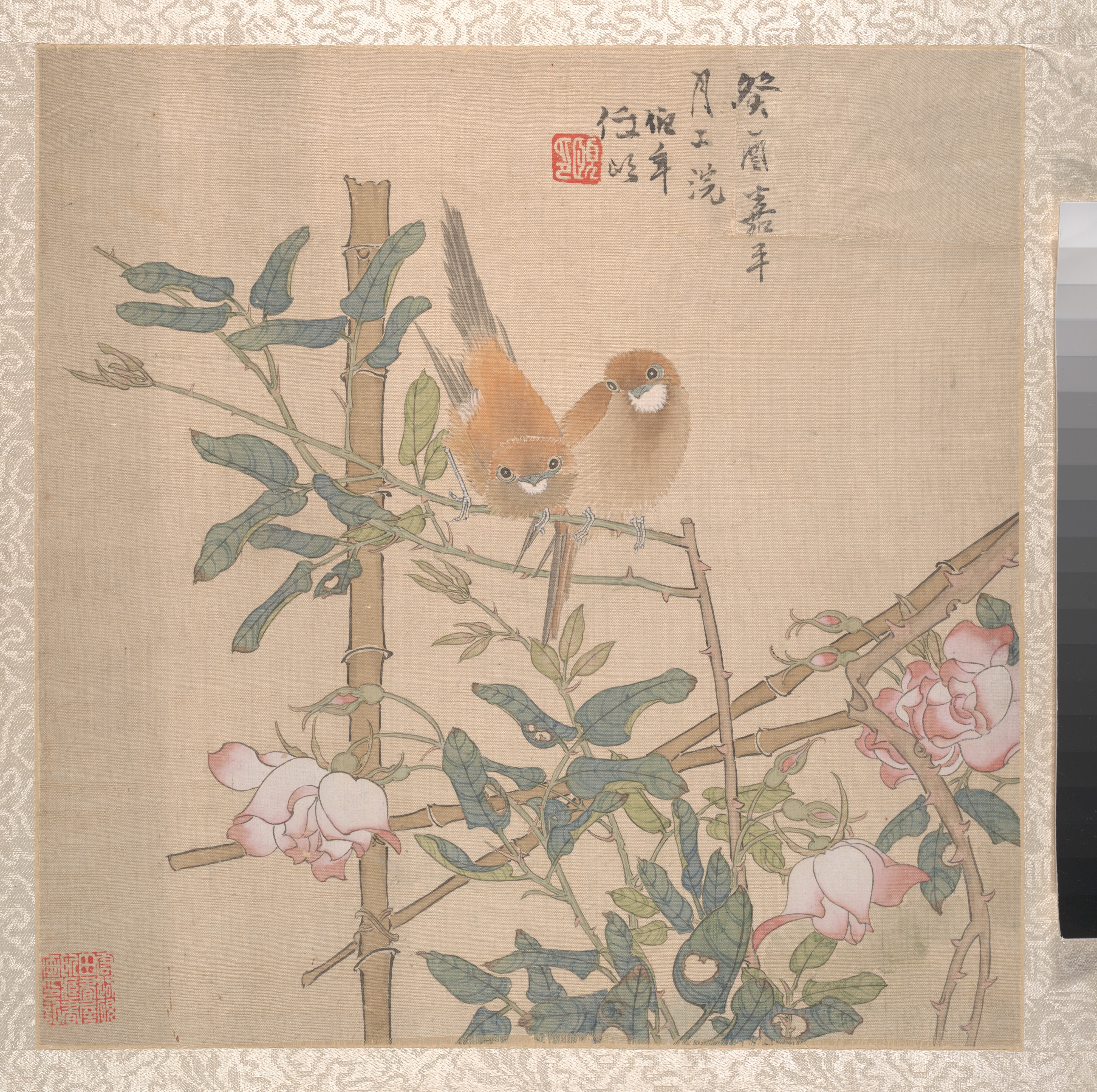清朝仁儀アルバム|開花したバラの茂みに止まった二羽の鳥