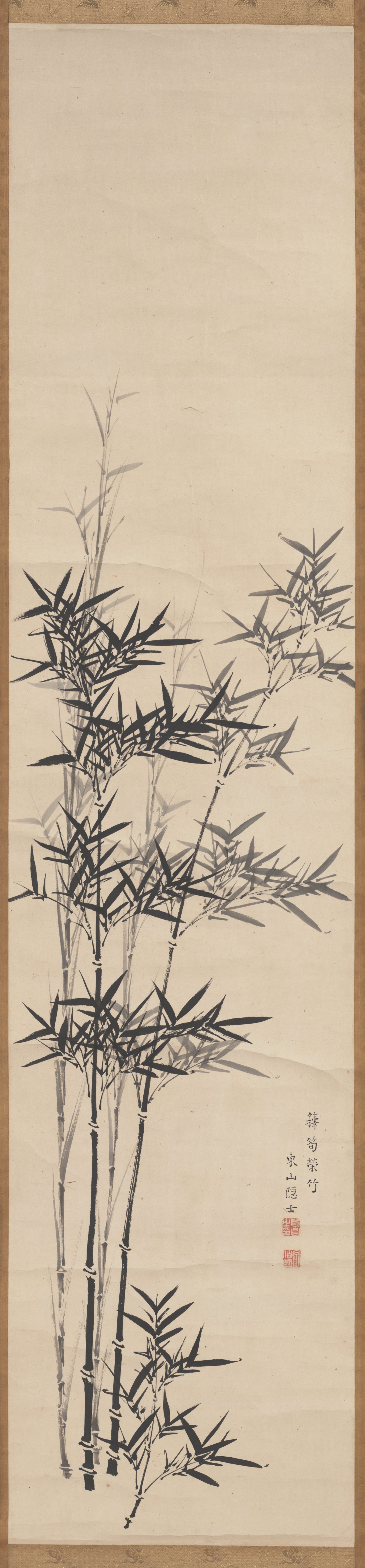 茂る竹の若芽