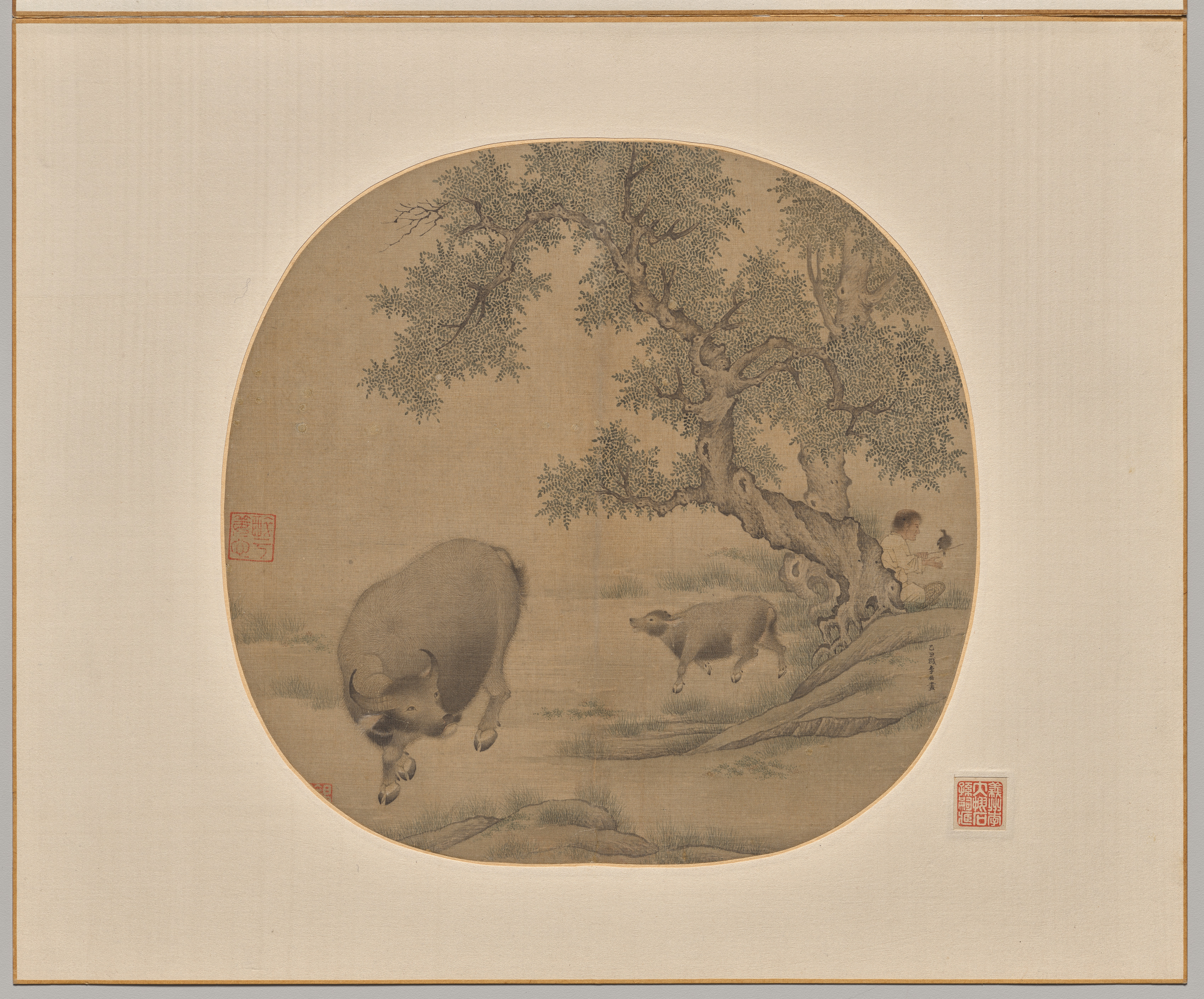 男と水牛と子牛