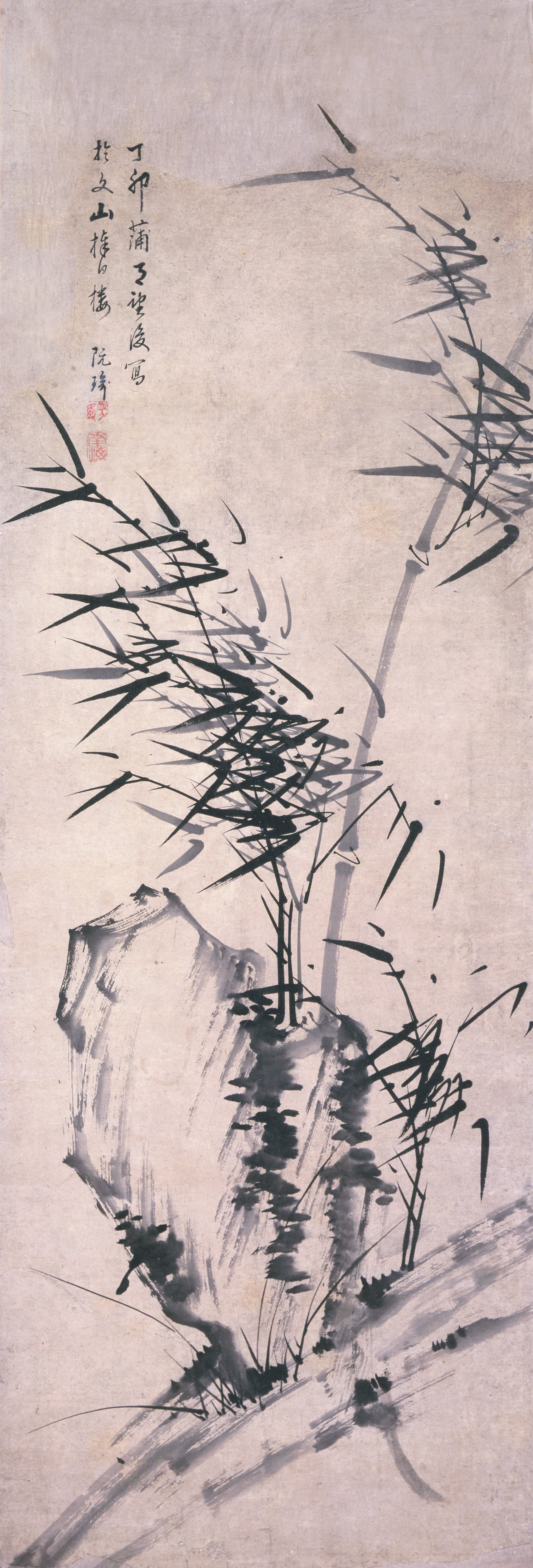 竹と岩