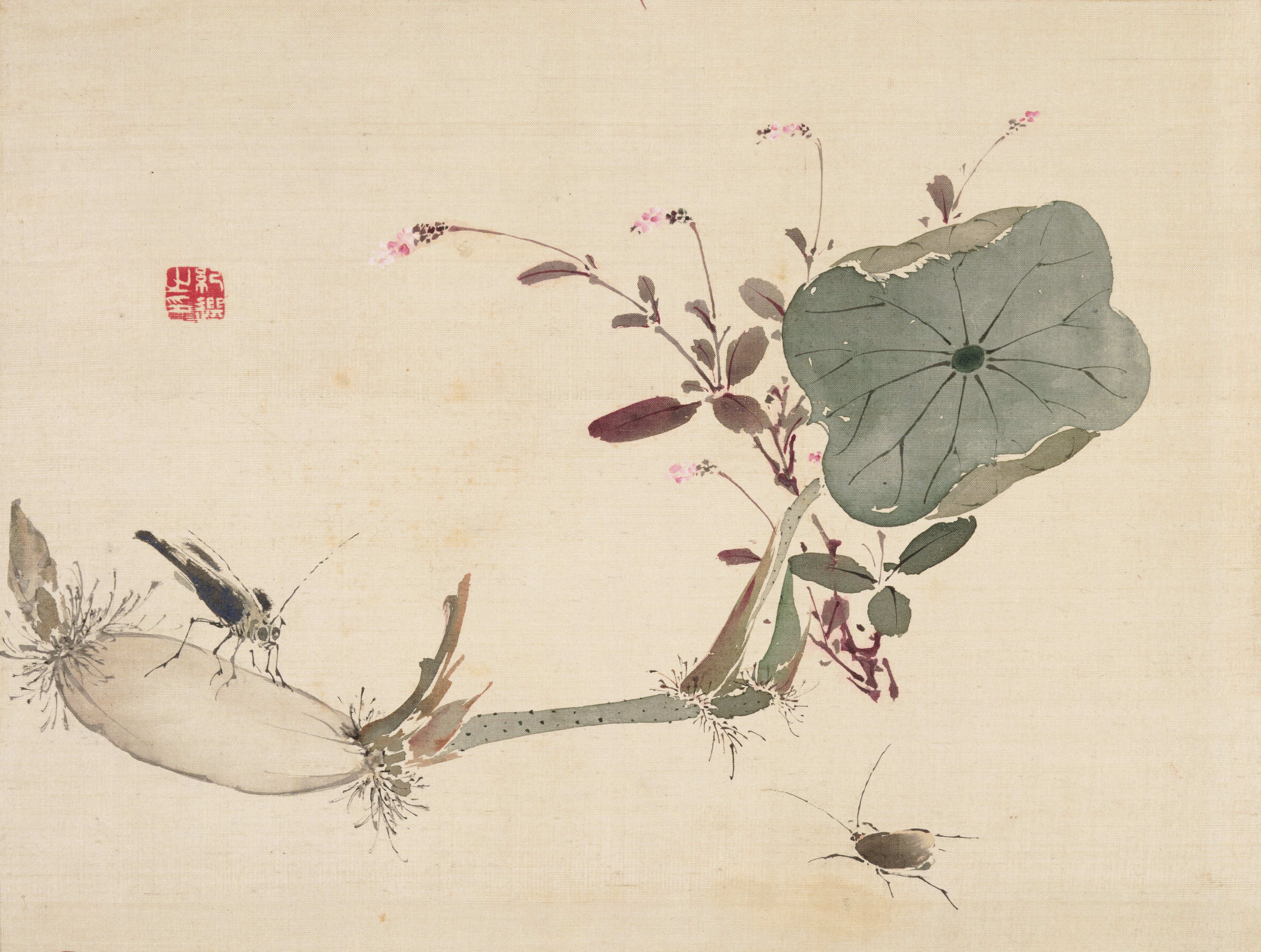 草花・魚・鳥の写生（蓮根と虫）