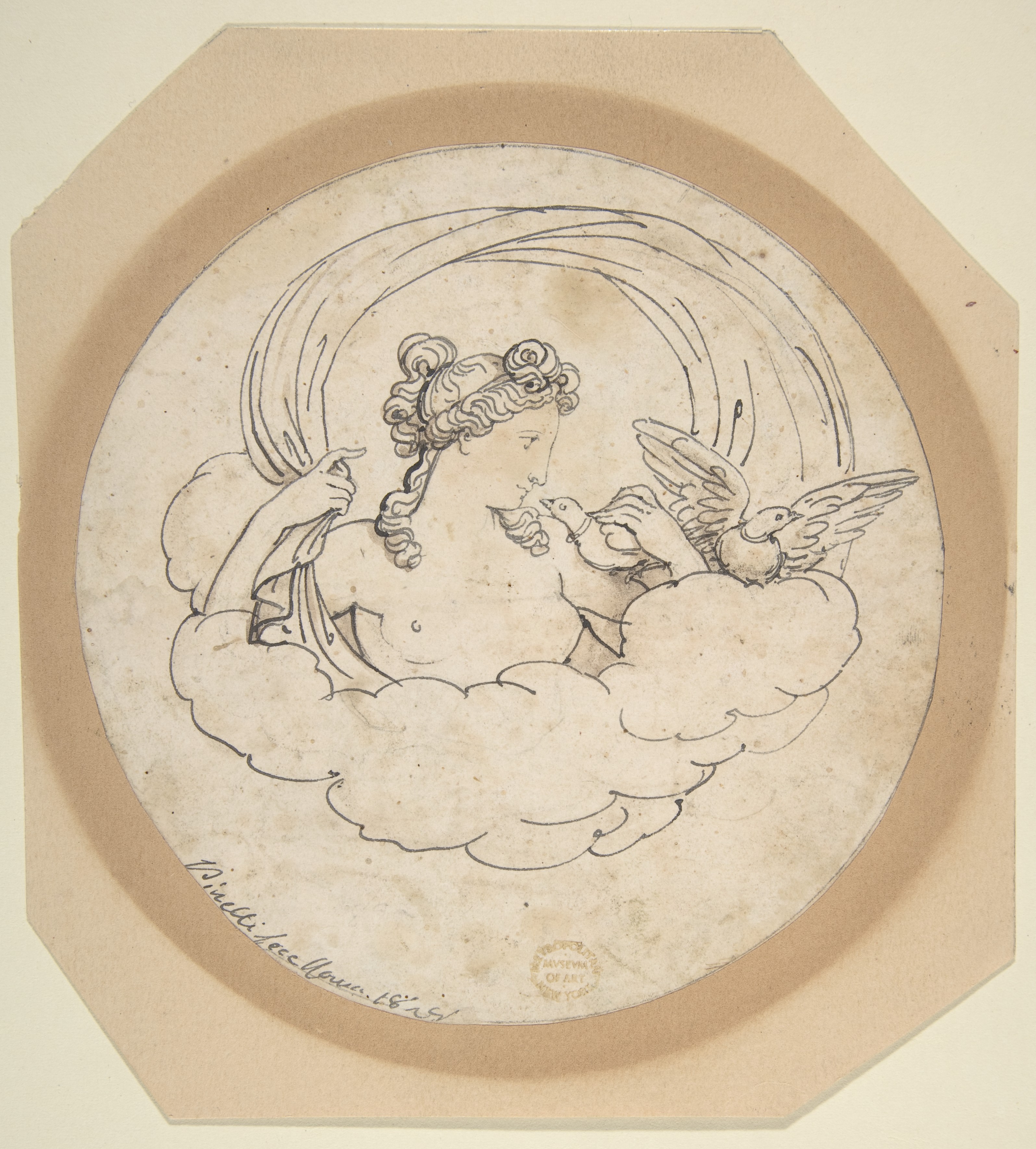 鳩と金星
