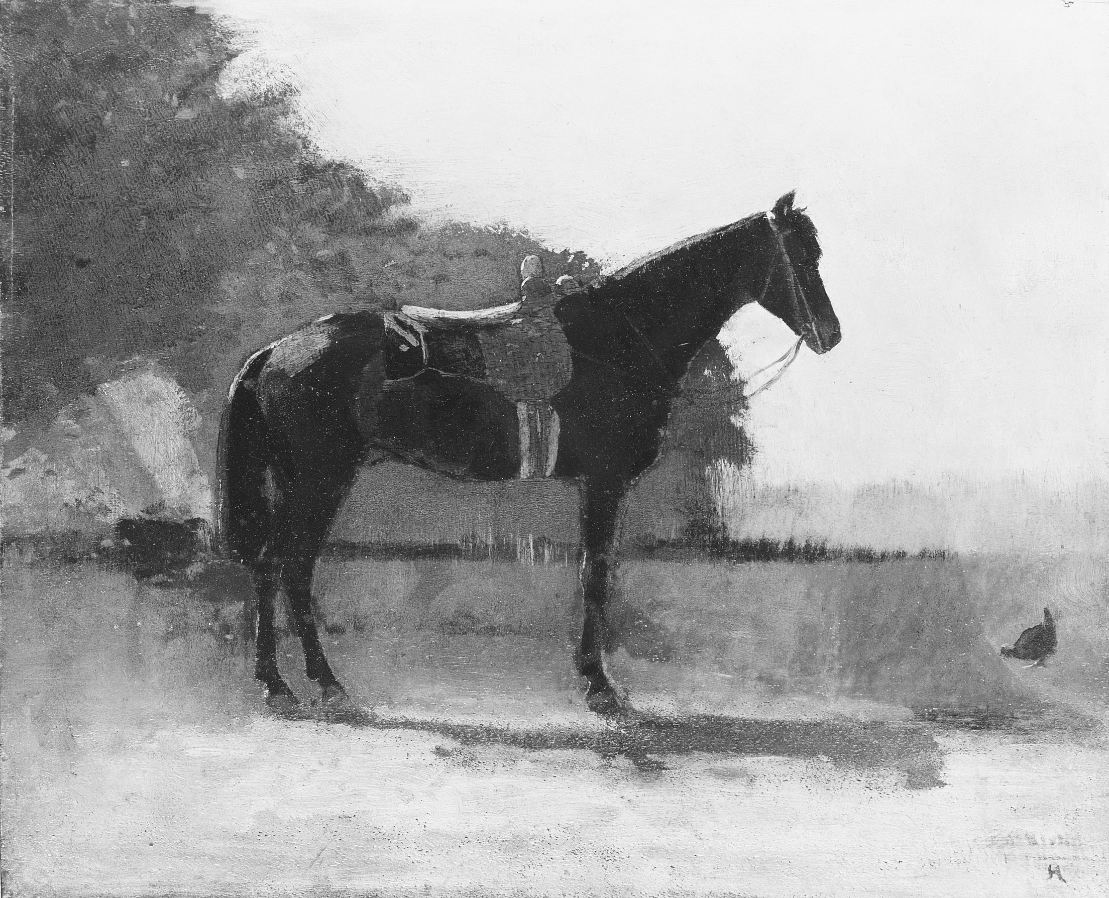 農場の庭の鞍馬