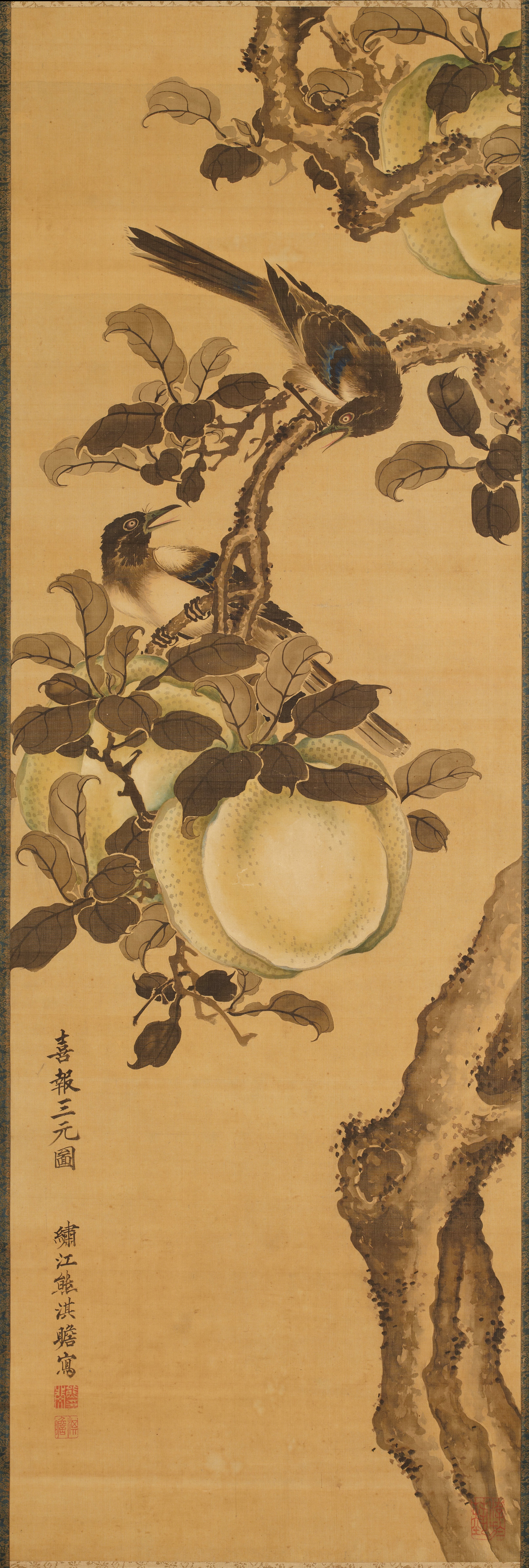 果樹に鵲