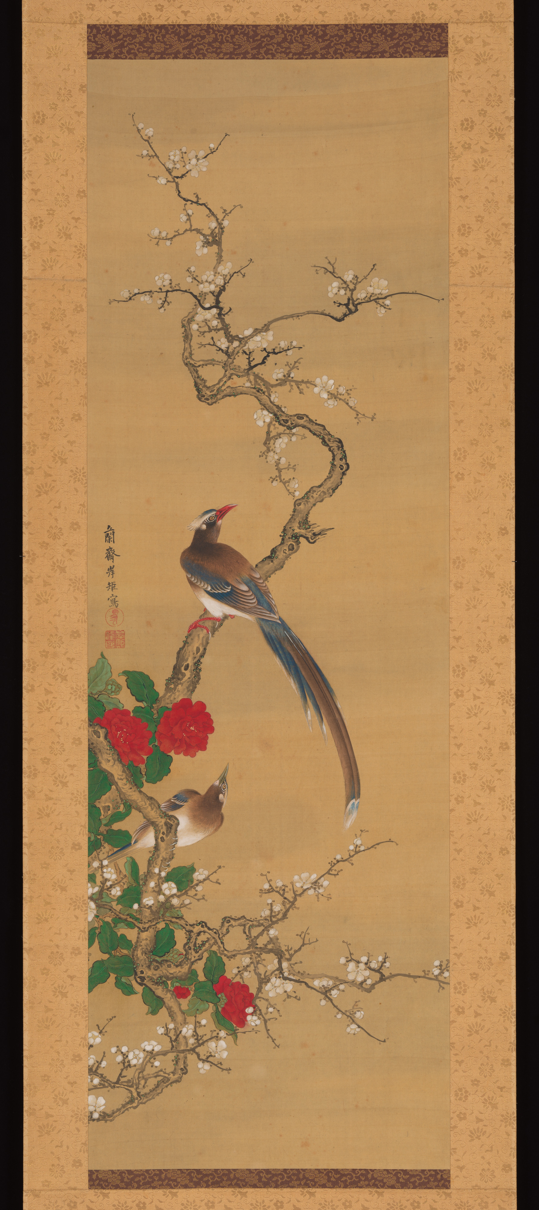 梅の木の鳥