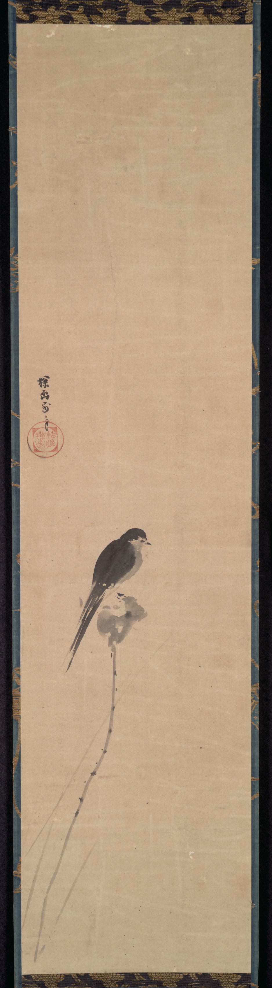 蓮の蕾に止まる鳥