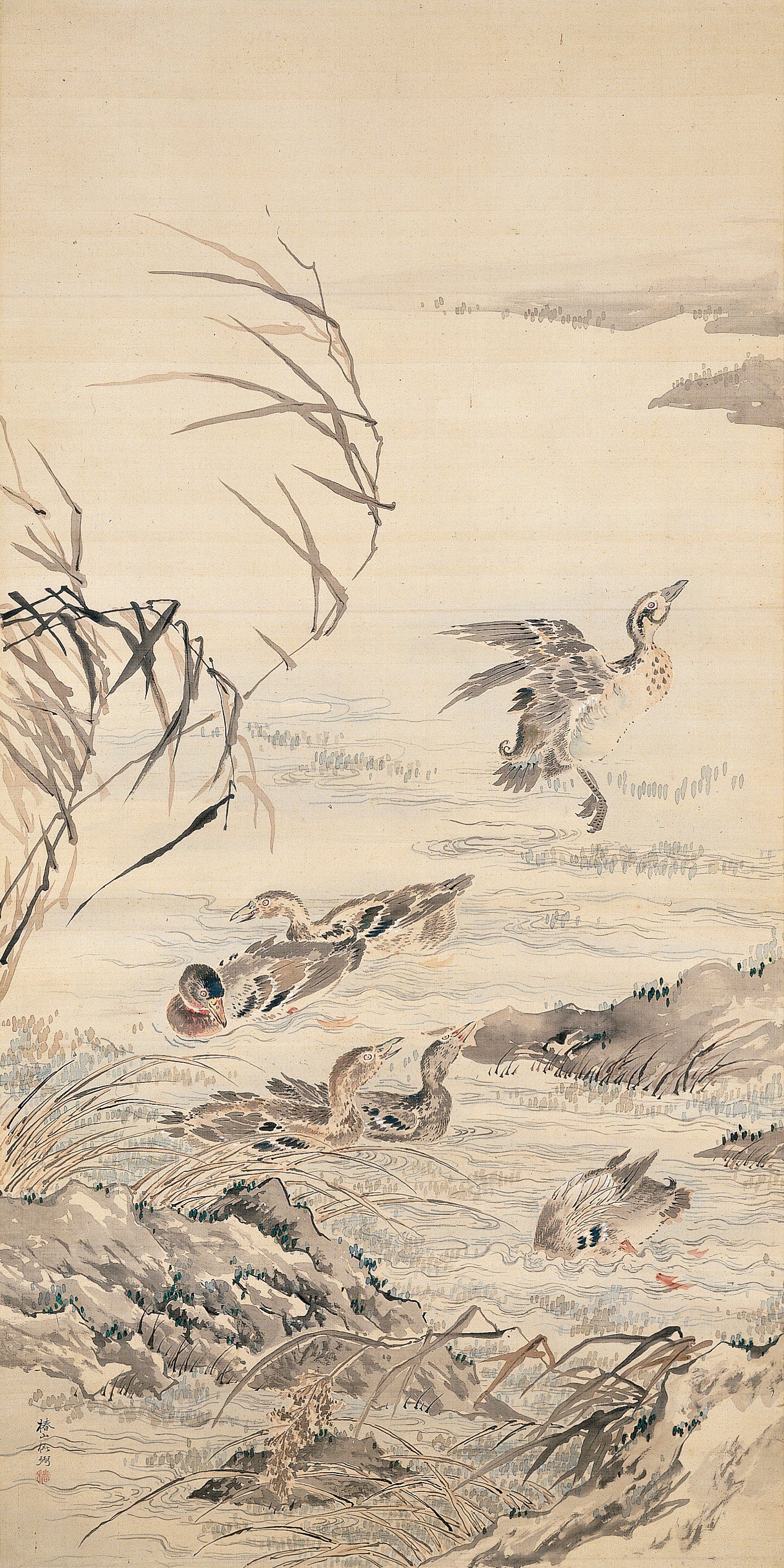 秋の渓流の雁