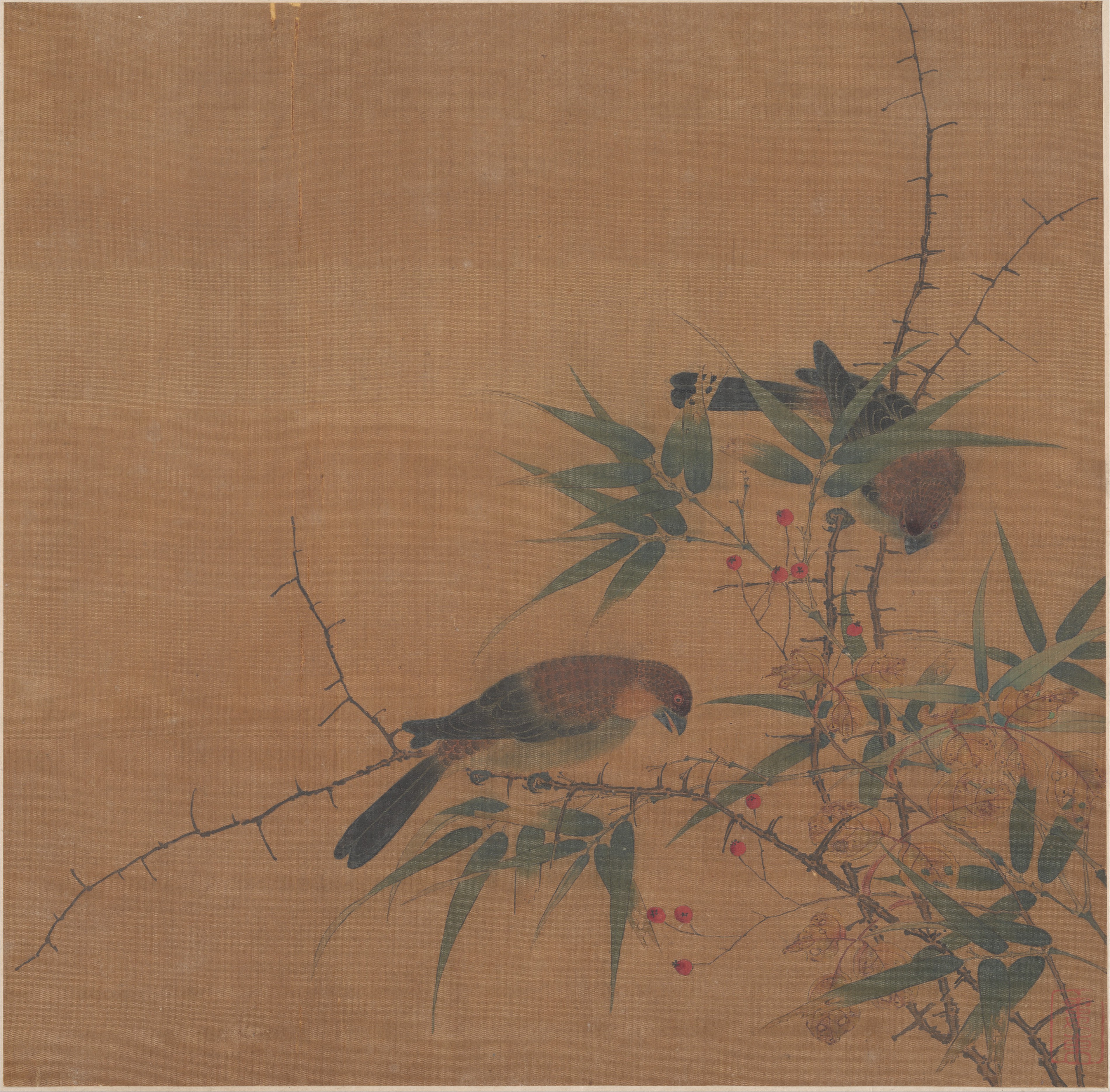 清朝匿名竹鳥アルバム |竹の枝とベリーと鳥
