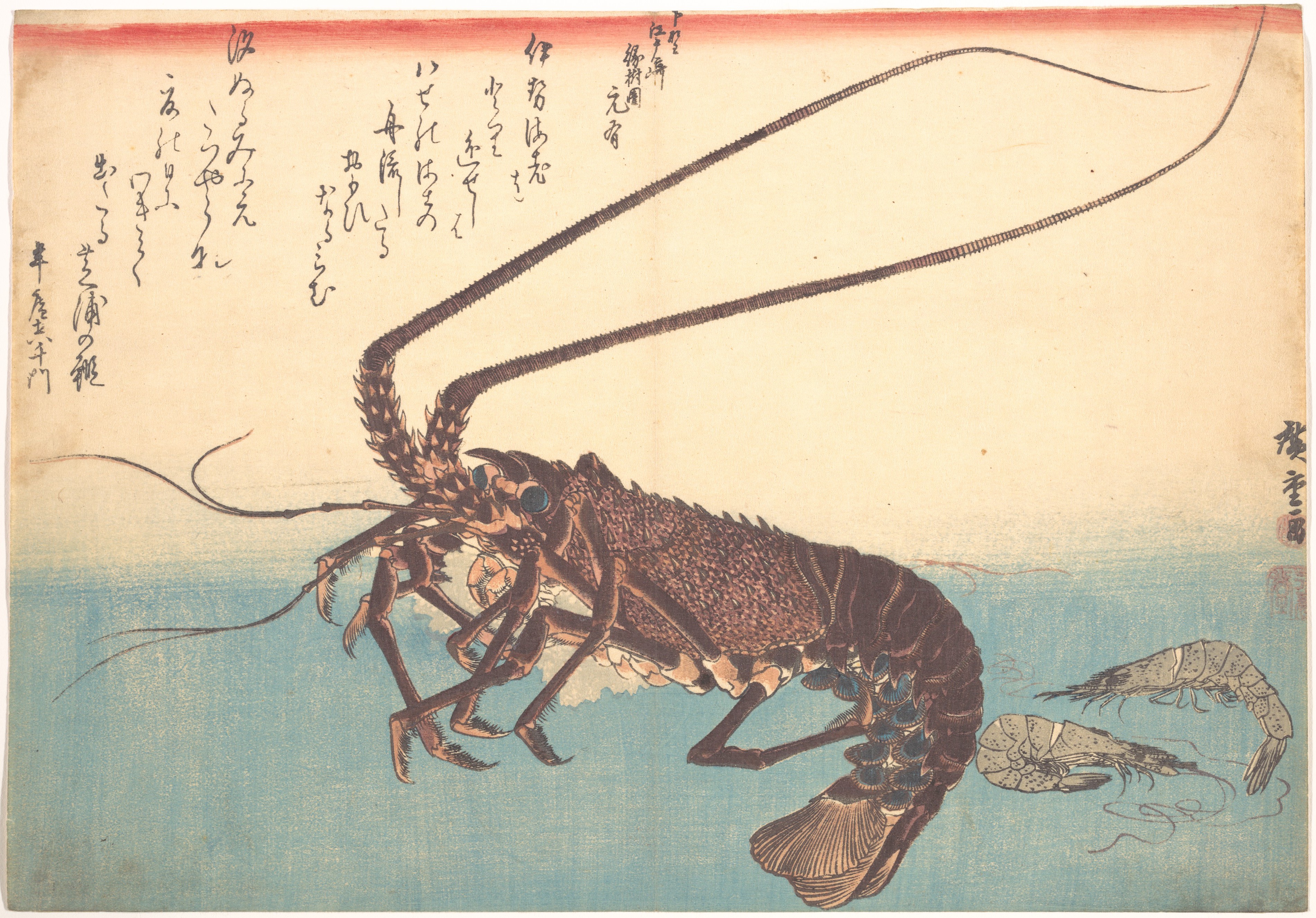 魚づくし　伊勢海老　芝蝦