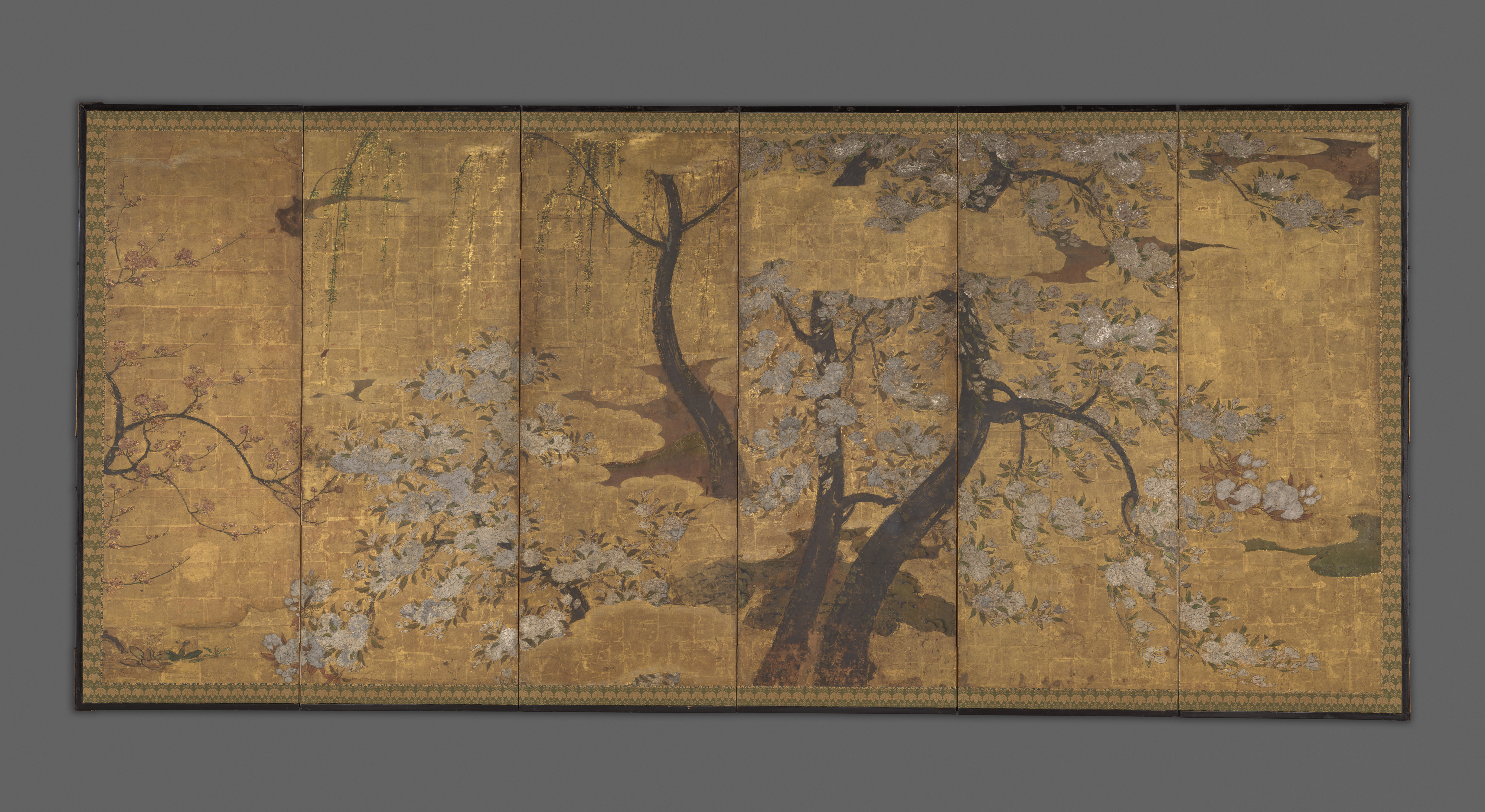 桜、梅、柳の木 | 写真桜、梅、柳