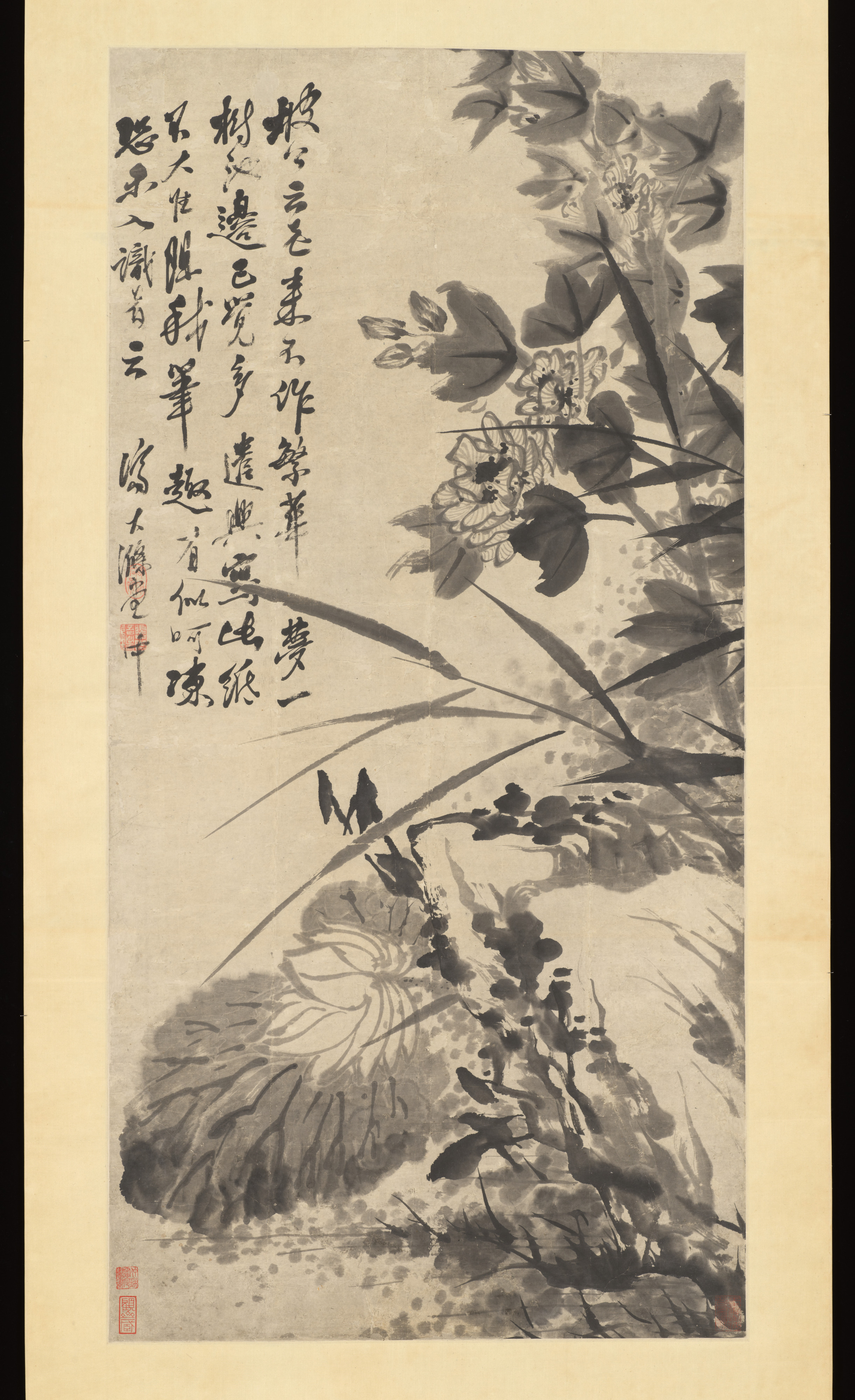 清代の石濤（朱若吉）の花と石の図軸|ハイビスカス、蓮、岩