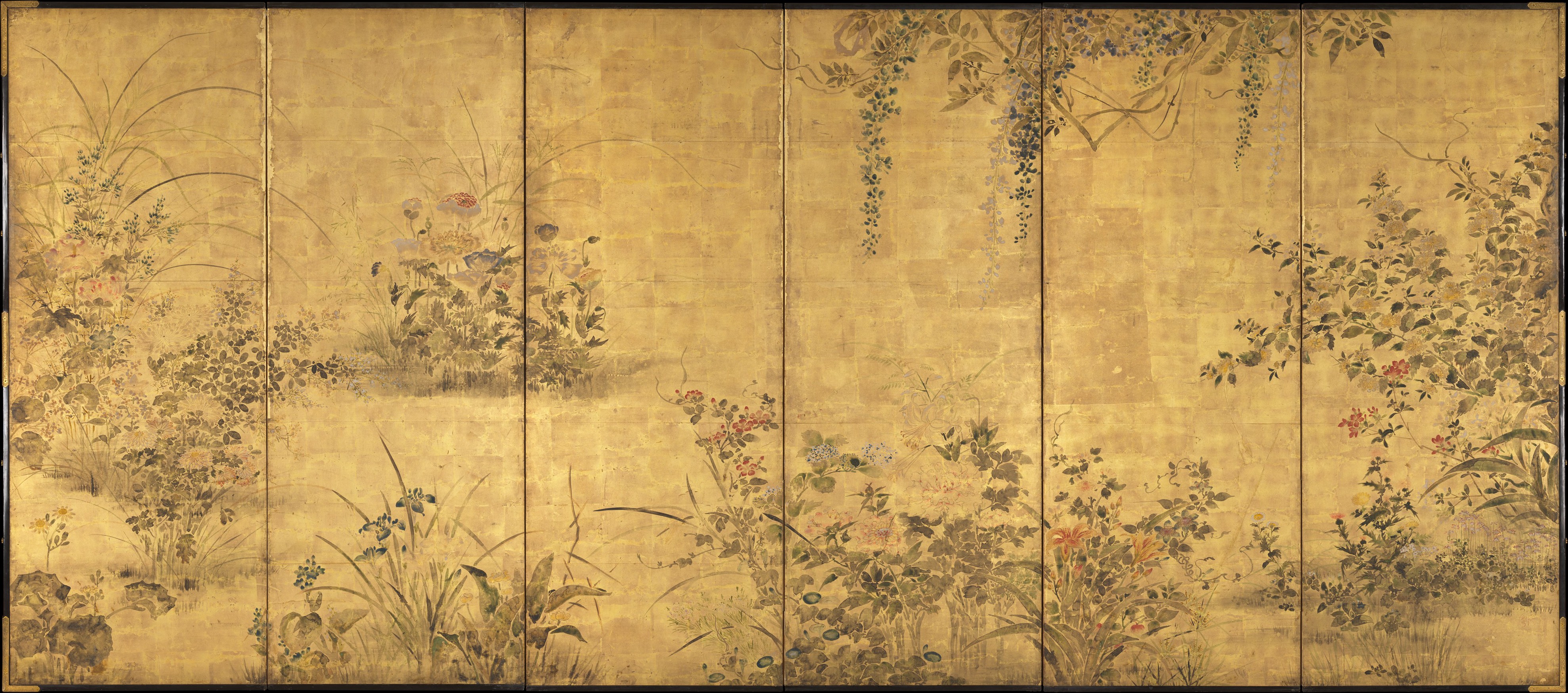 四季の草花と野菜 |四季の草花と野菜