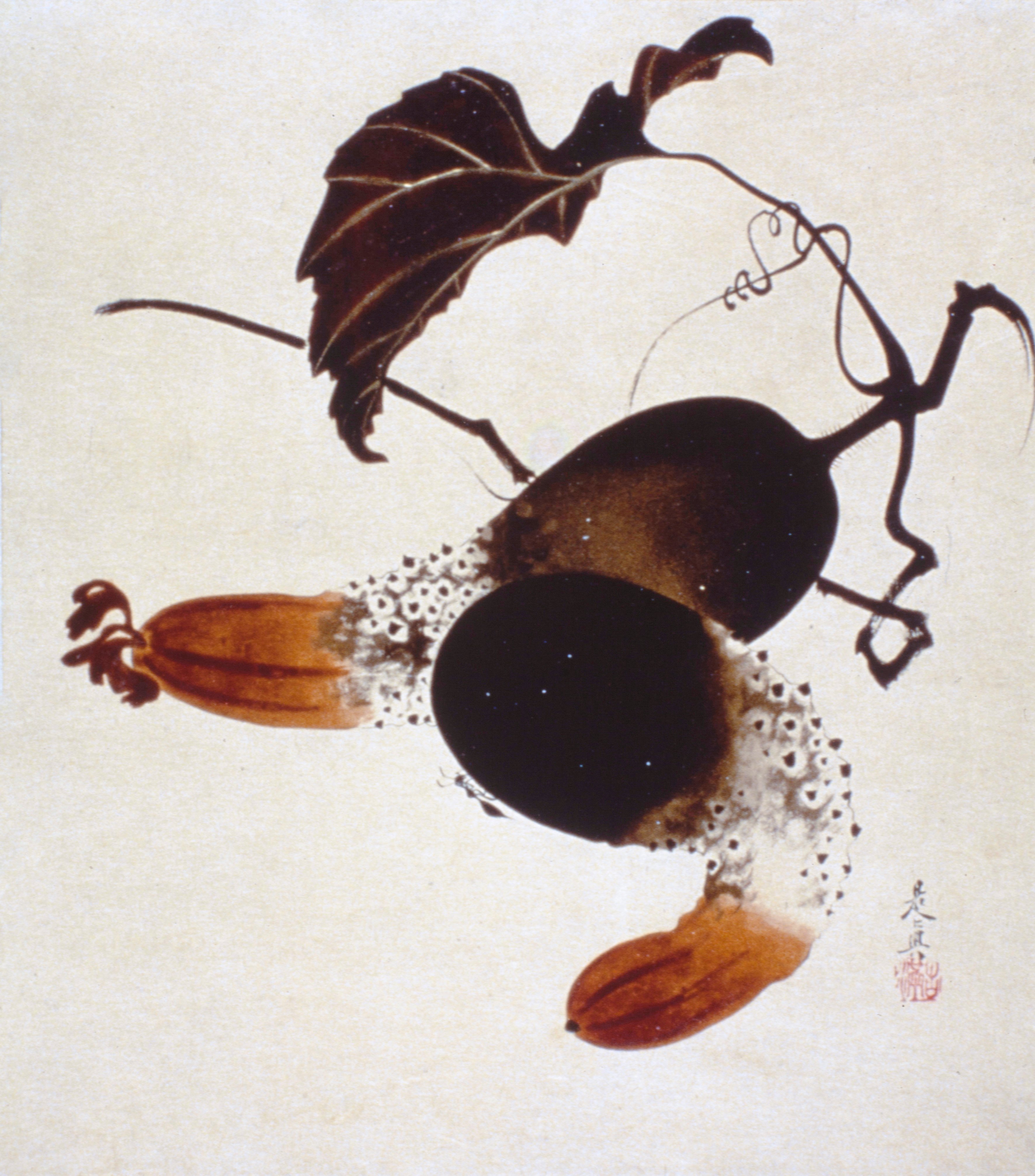 胡瓜