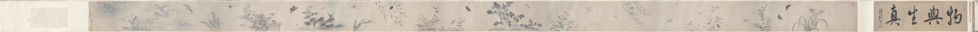 草虫と花
